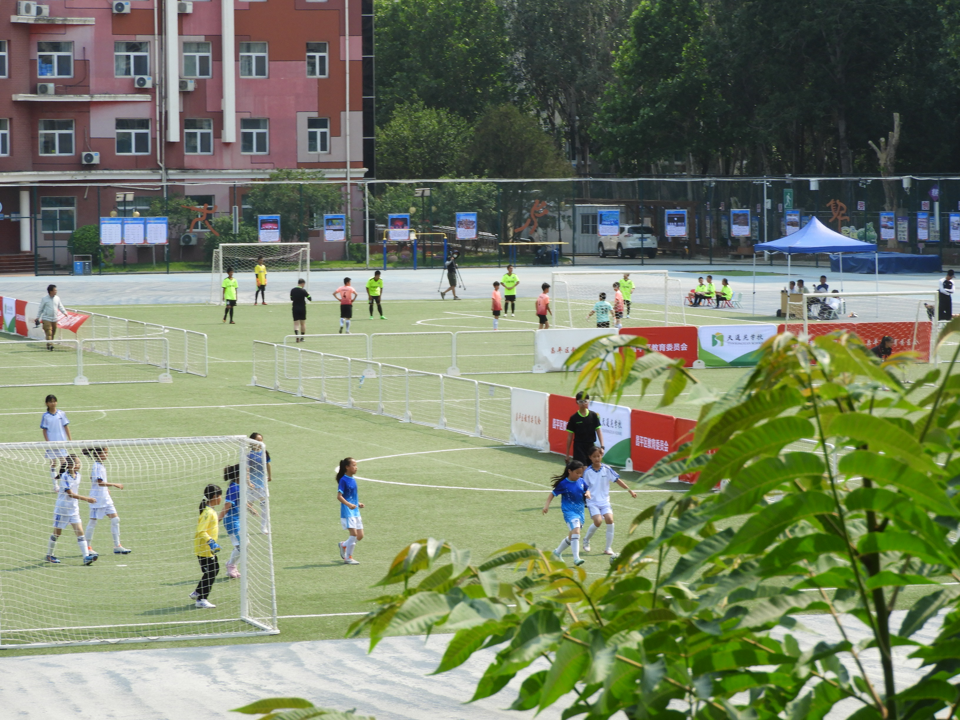 DSCN7381.JPG