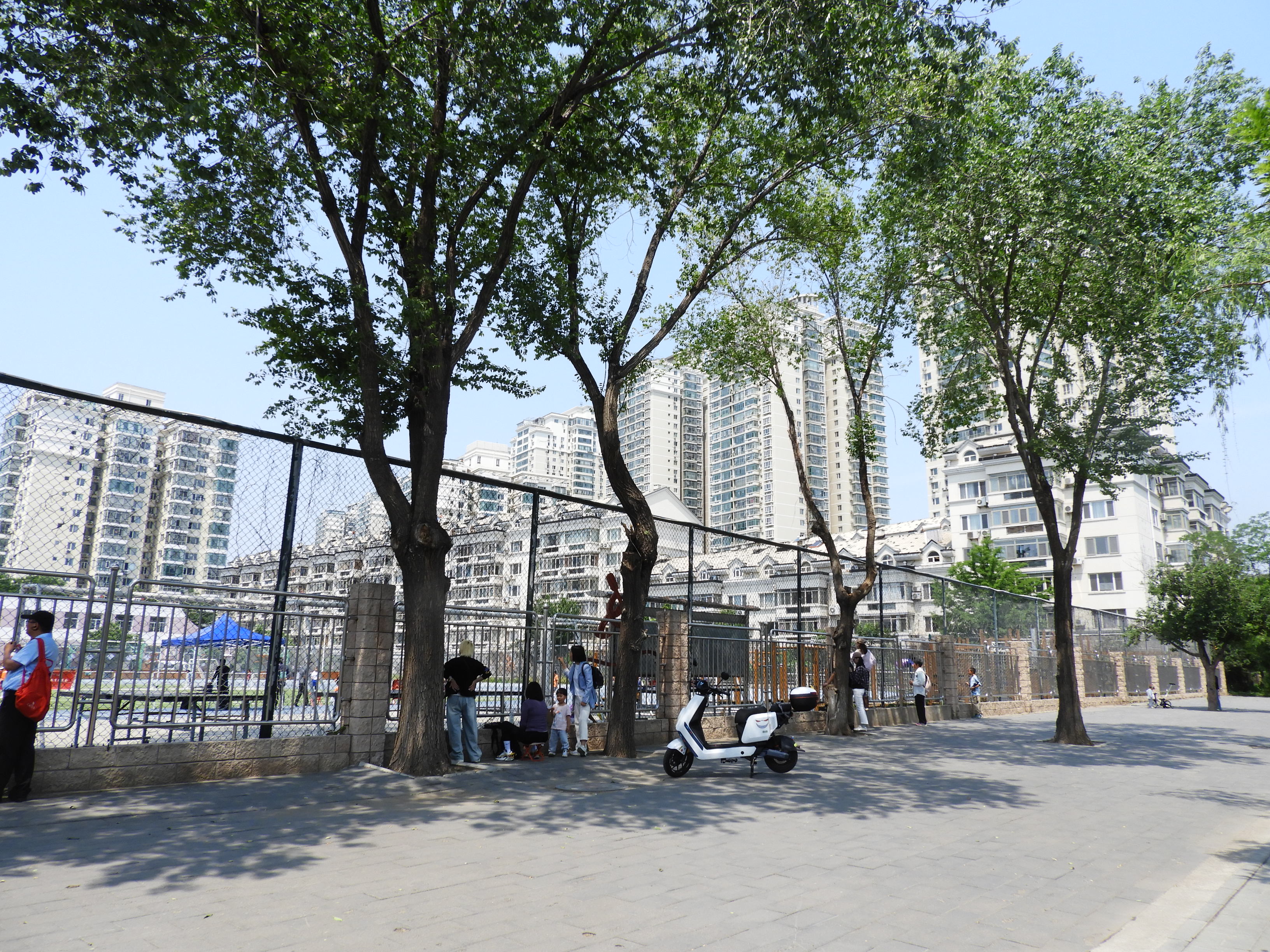 DSCN7356.JPG