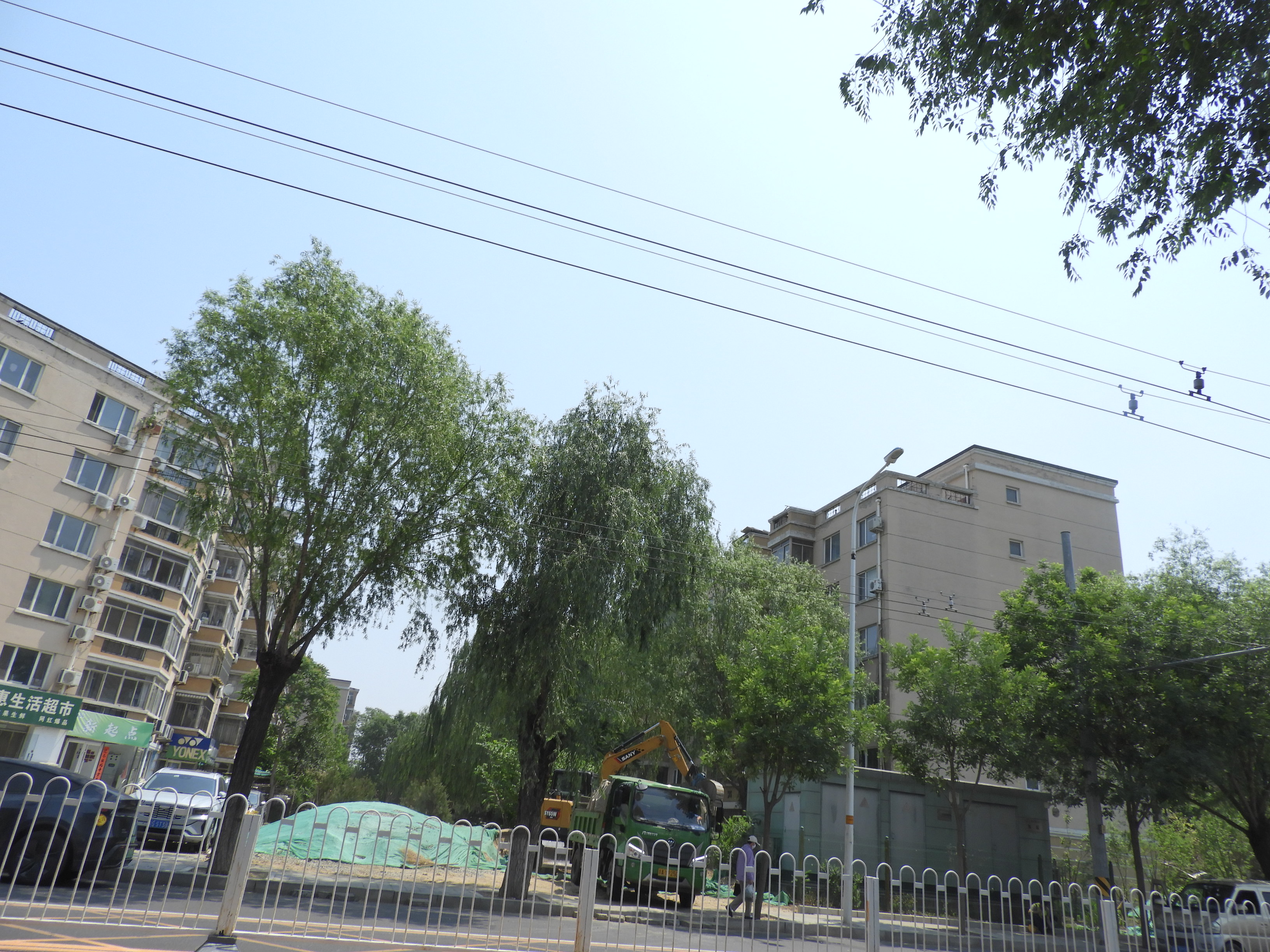 DSCN7366.JPG