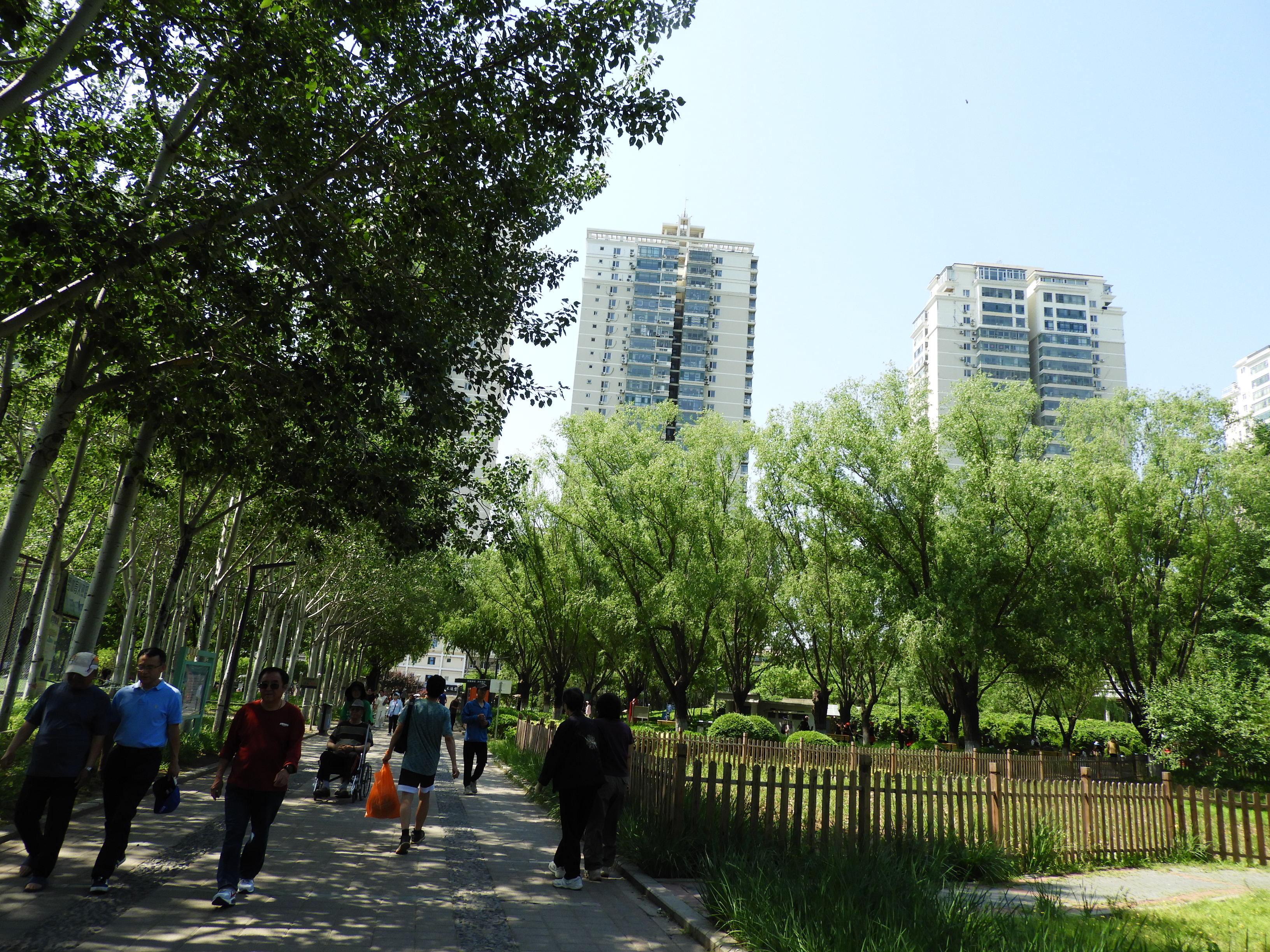 DSCN7457.JPG