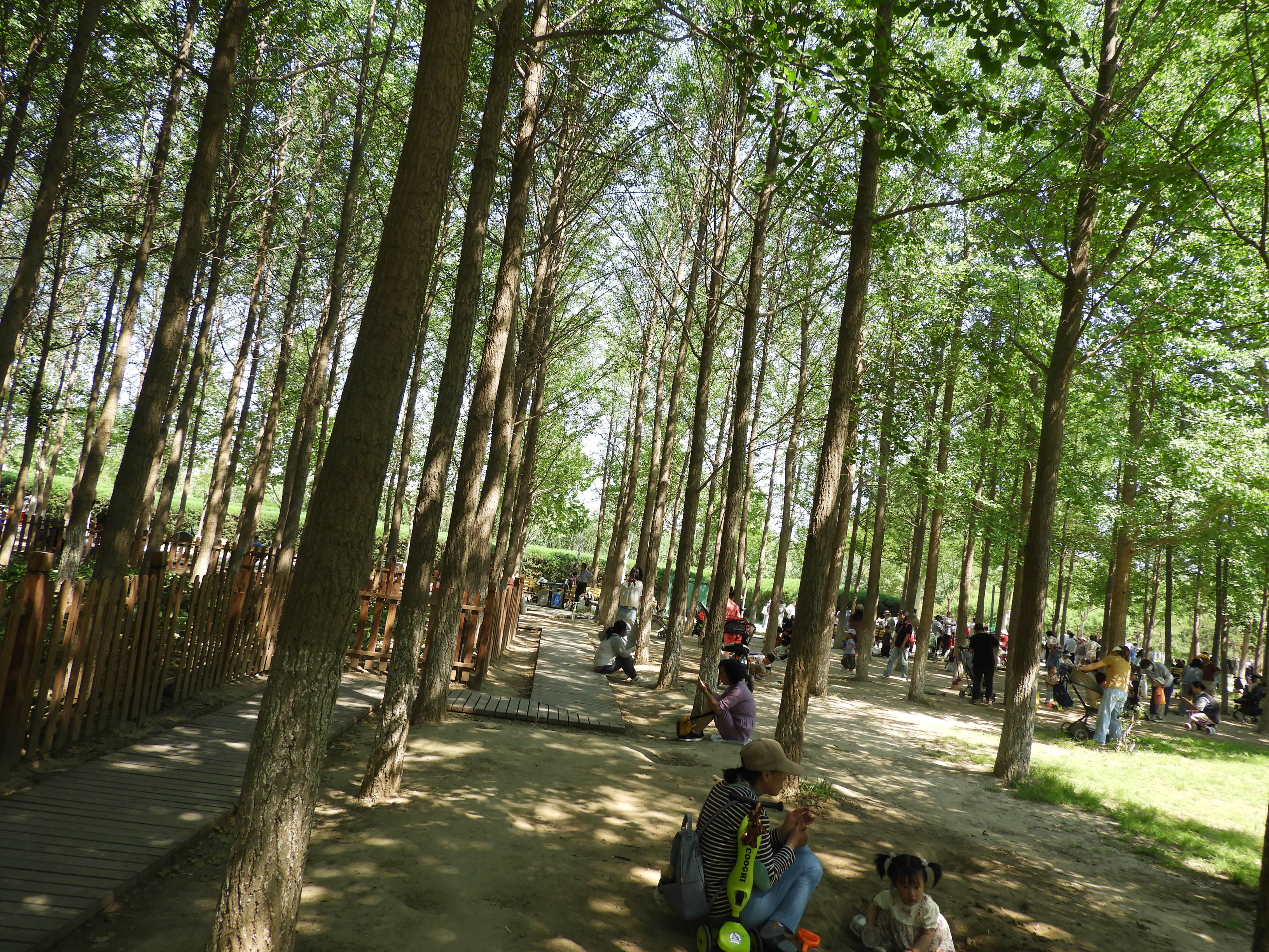 DSCN7455.JPG