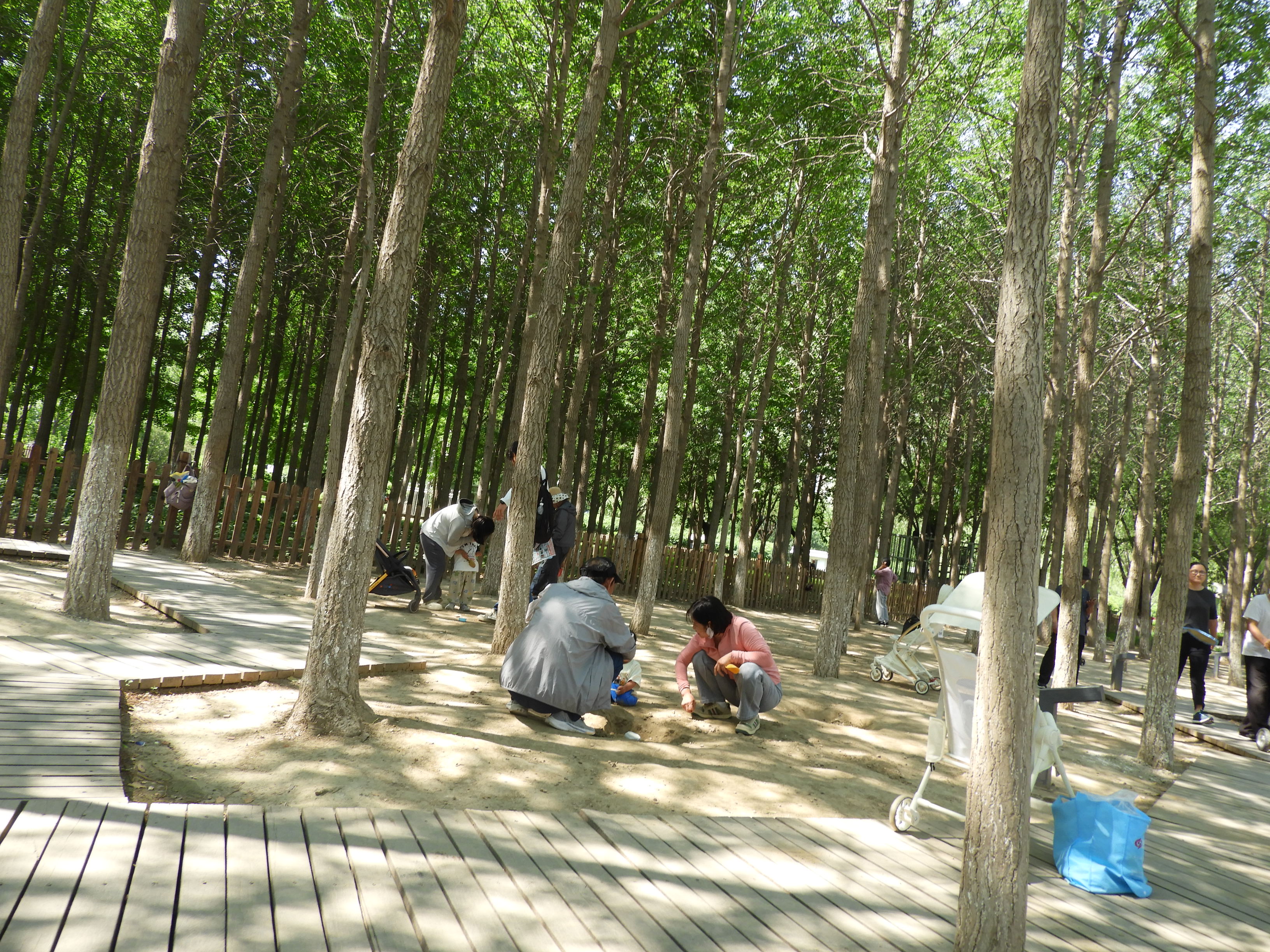 DSCN7452.JPG
