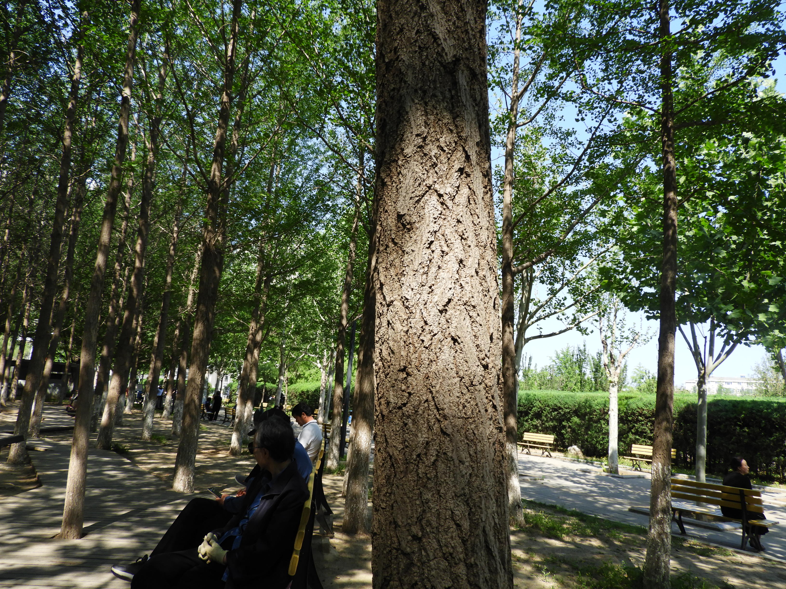 DSCN7450.JPG