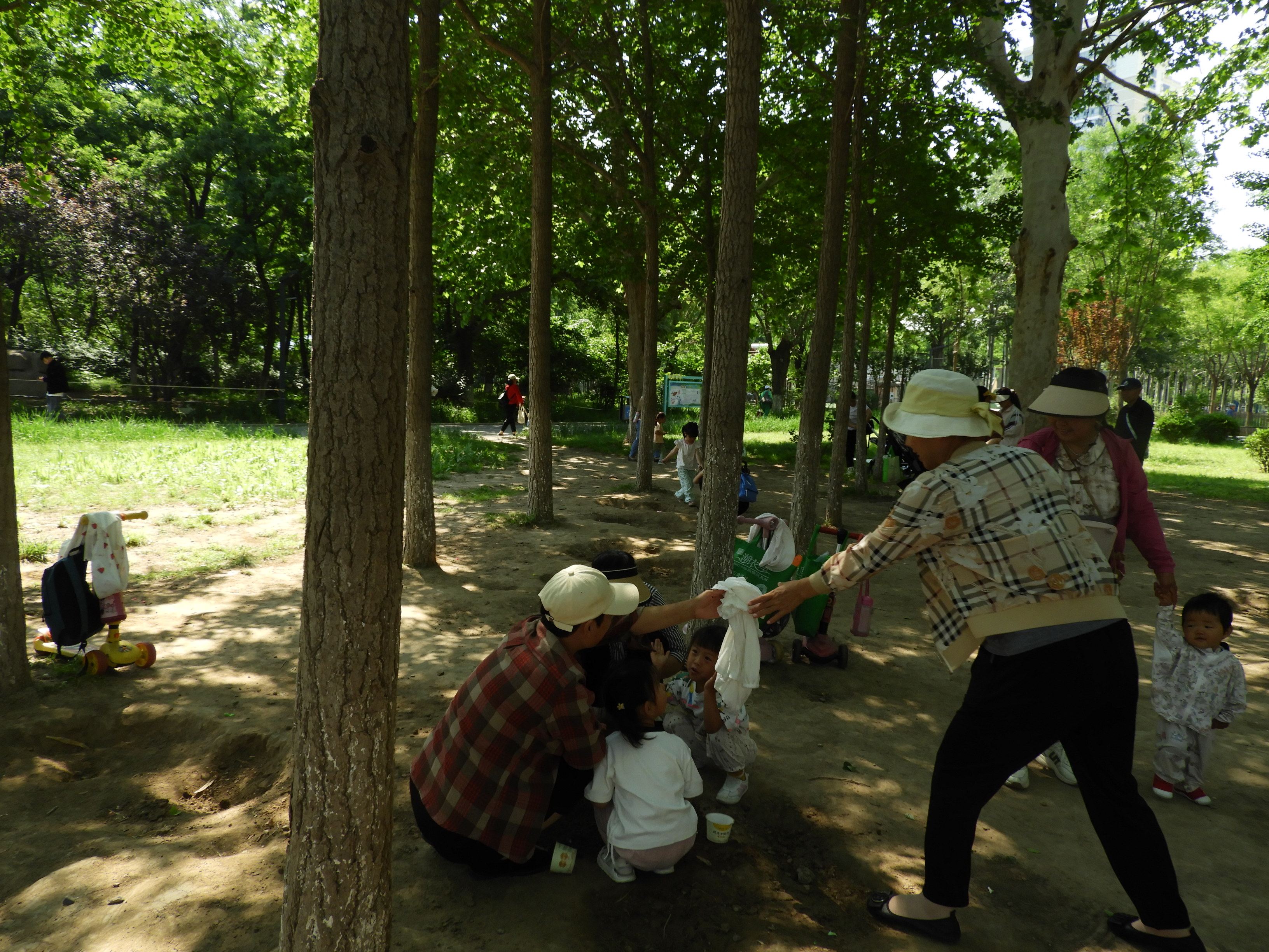 DSCN7448.JPG