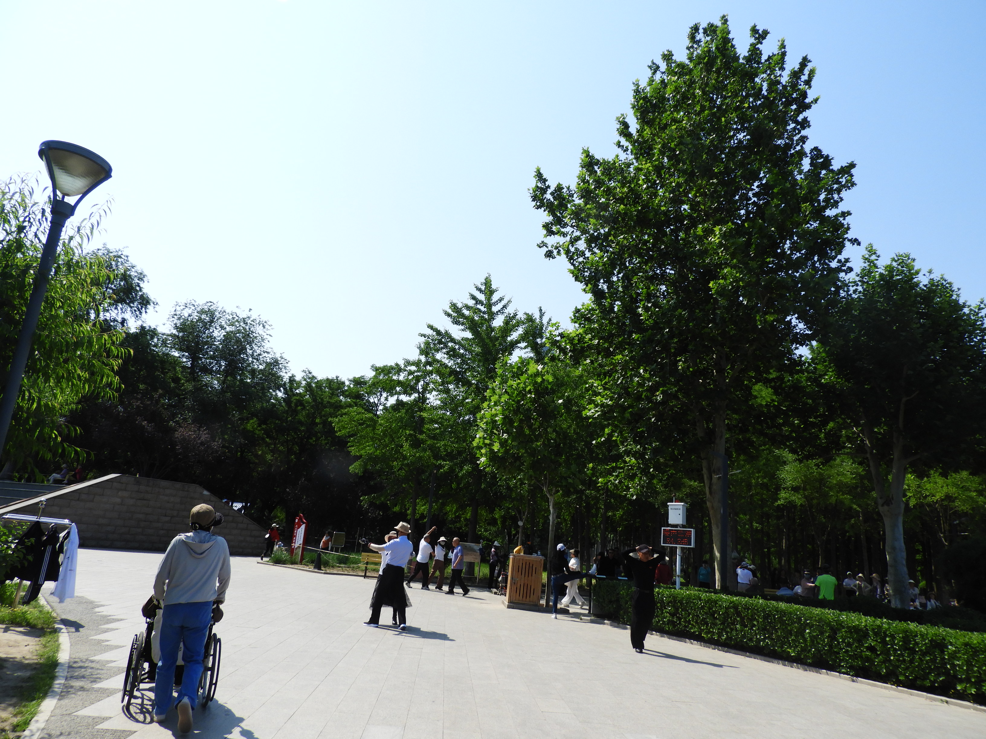 DSCN7446.JPG