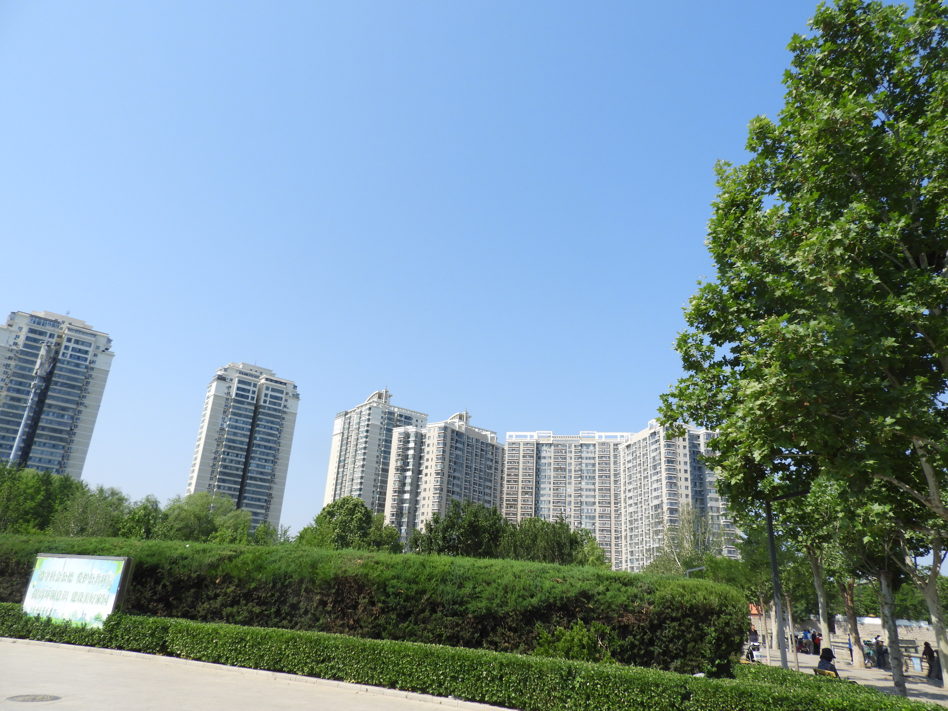 DSCN7444.JPG