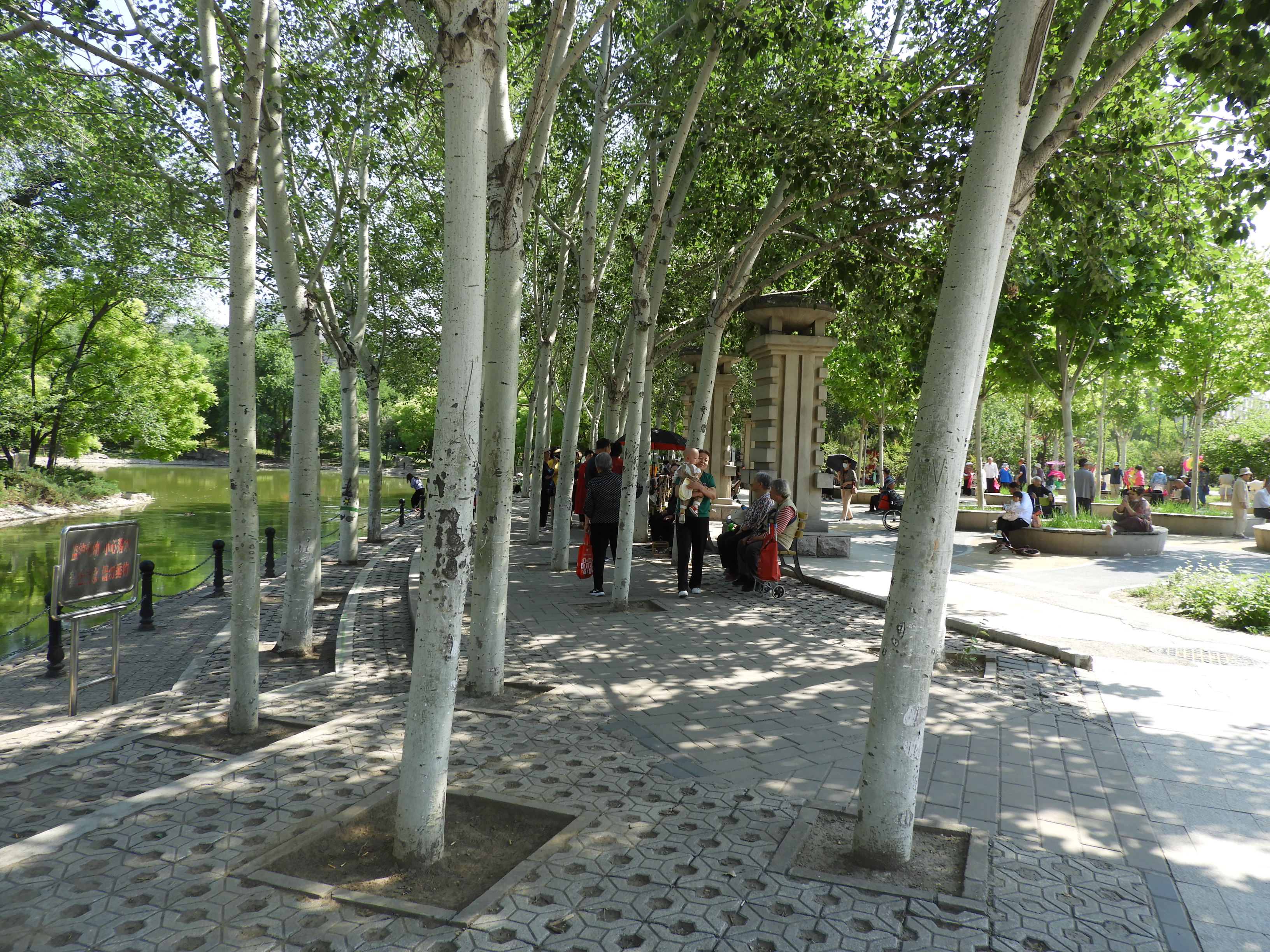 DSCN7442.JPG