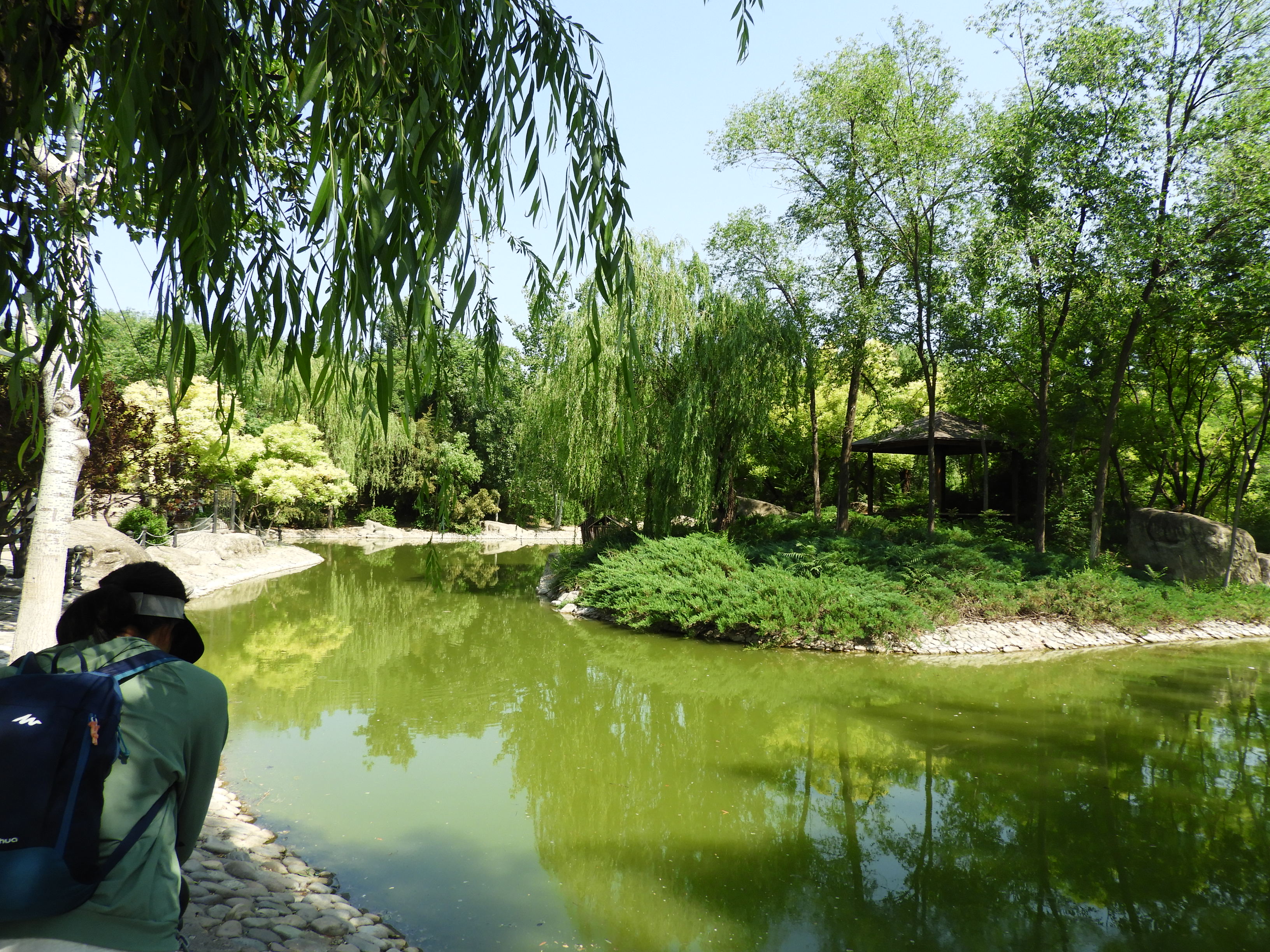DSCN7438.JPG