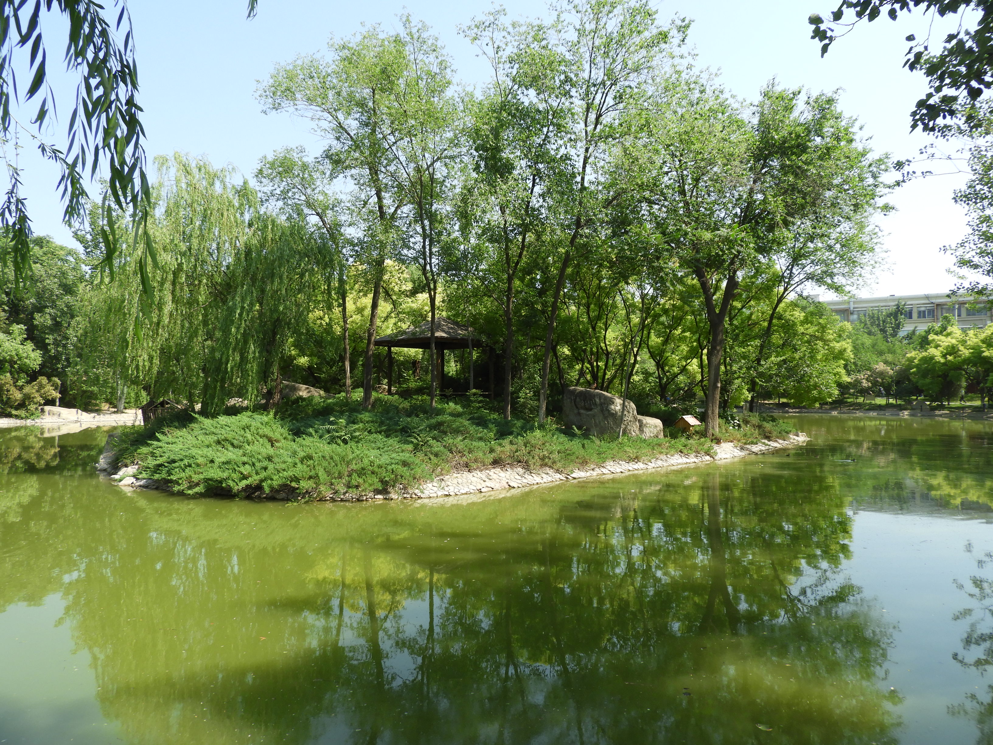 DSCN7437.JPG