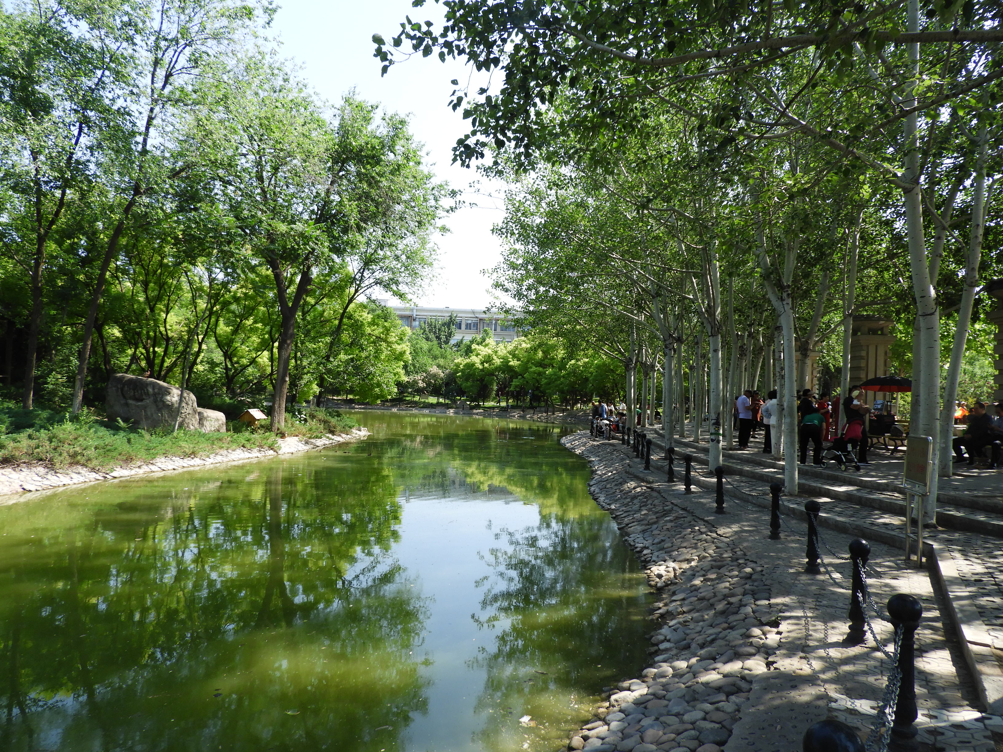 DSCN7436.JPG