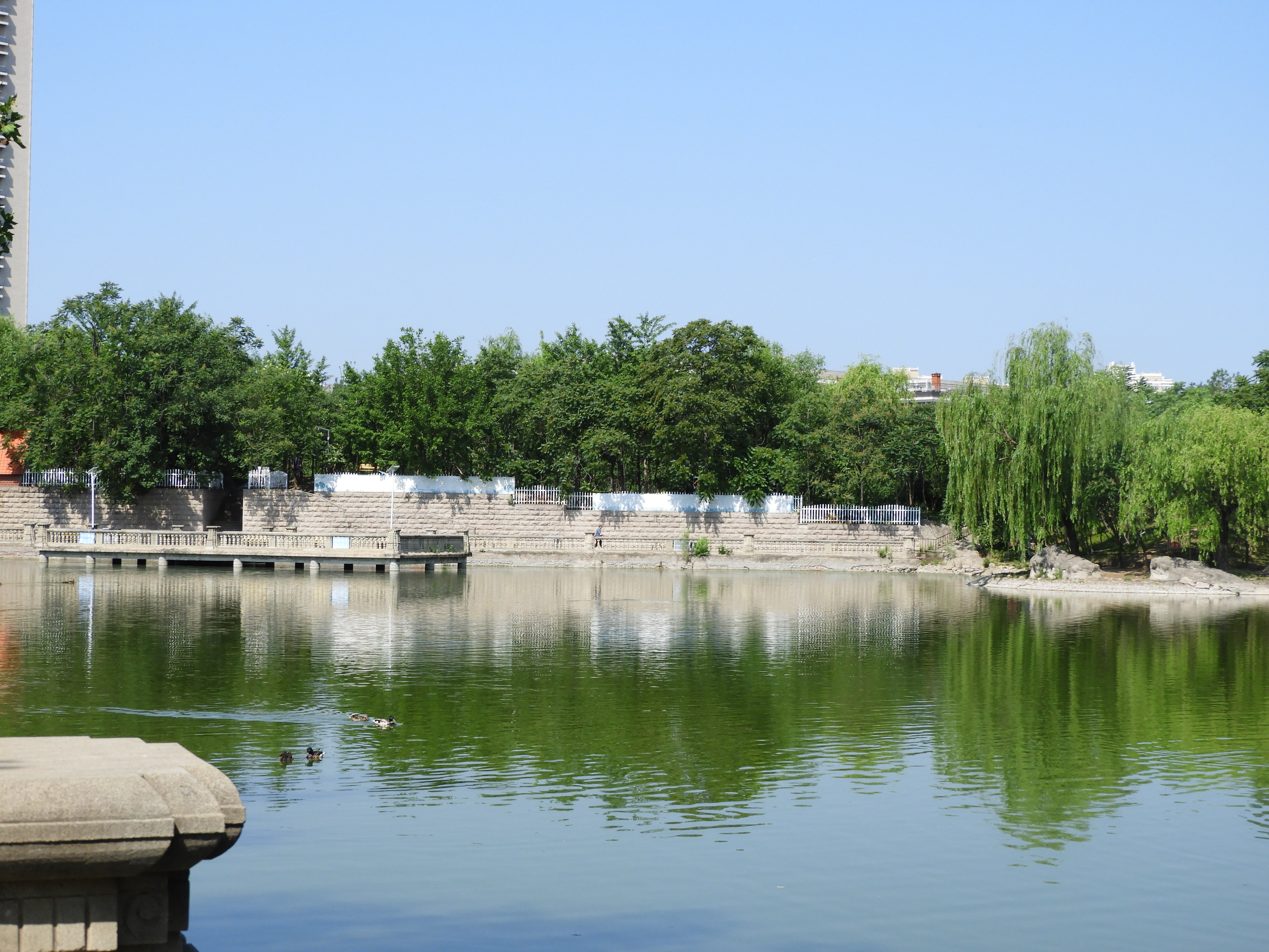 DSCN7431.JPG
