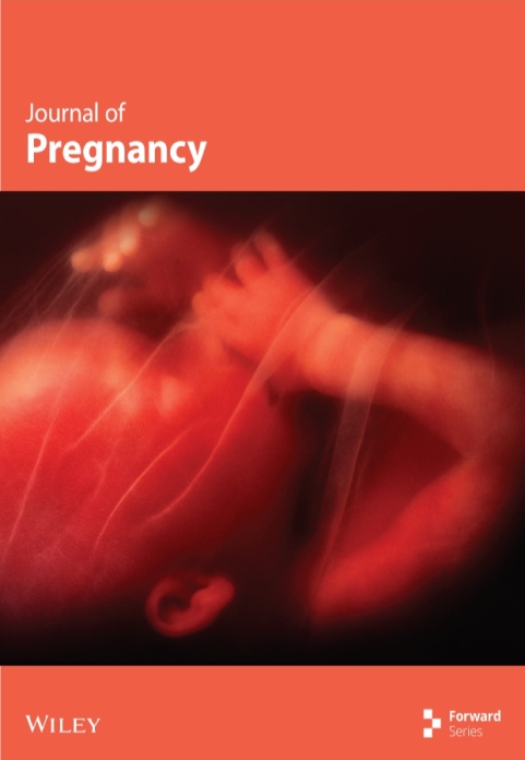 jp.v2025.1.cover.jpg