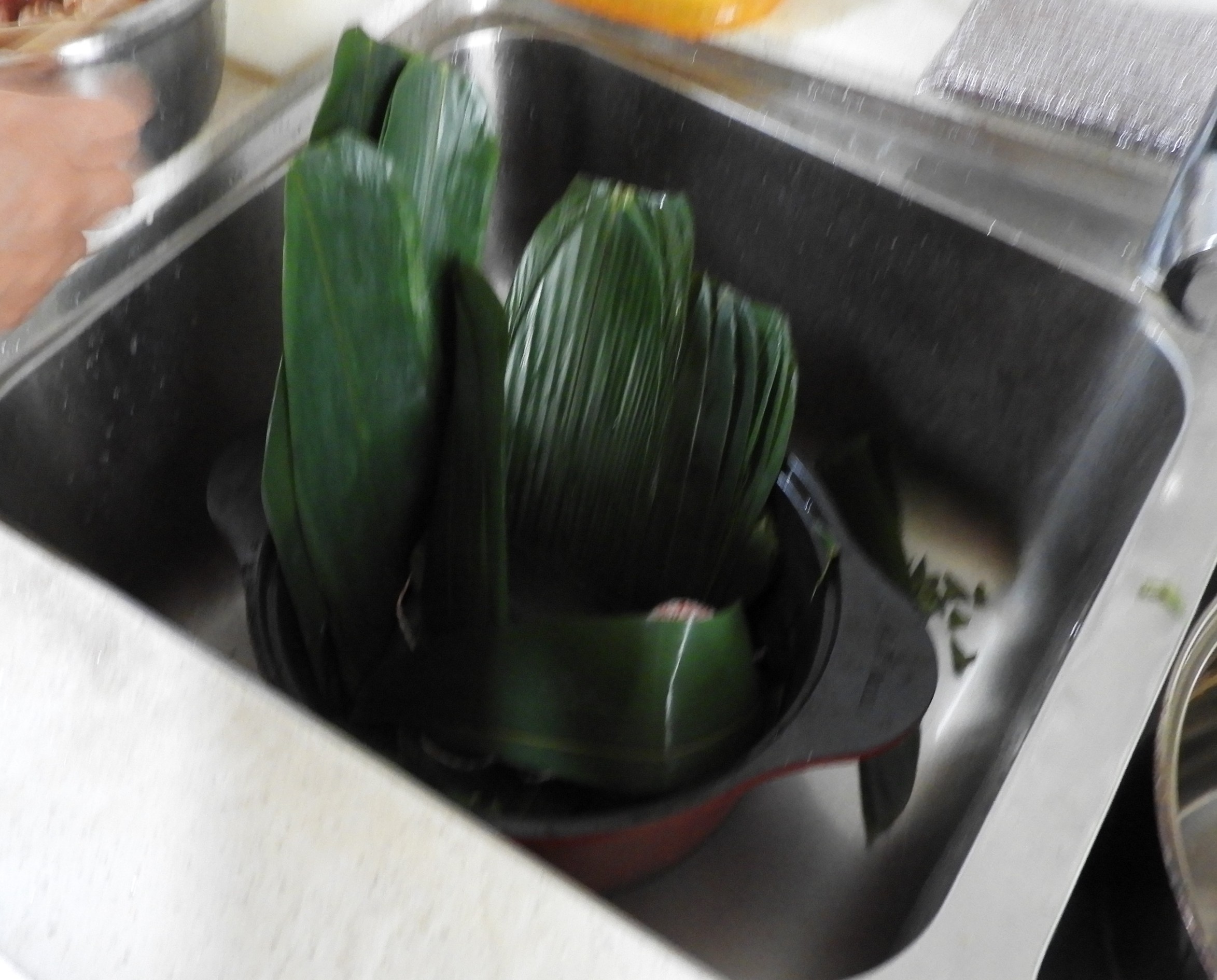 DSCN7522.JPG