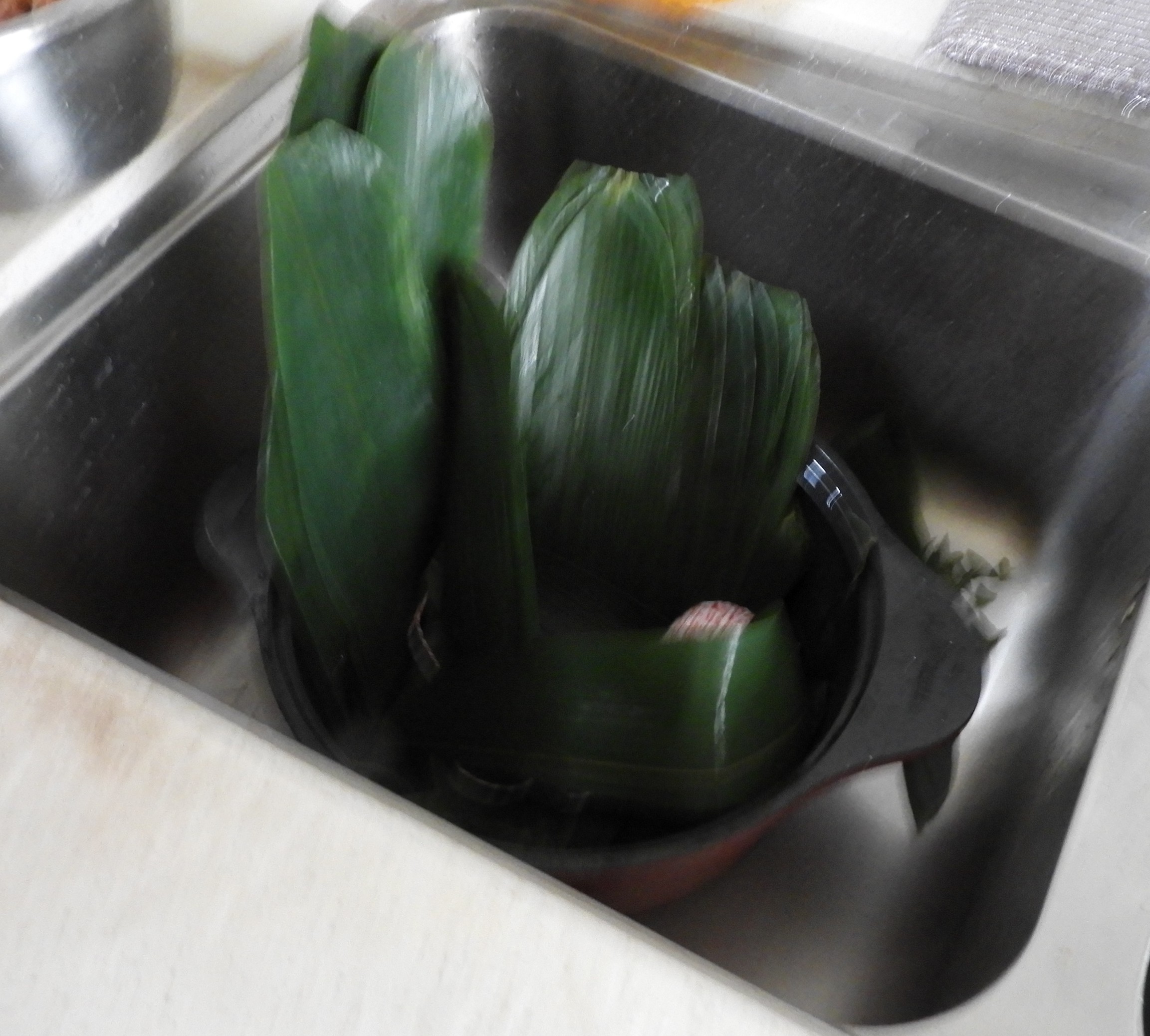 DSCN7521.JPG