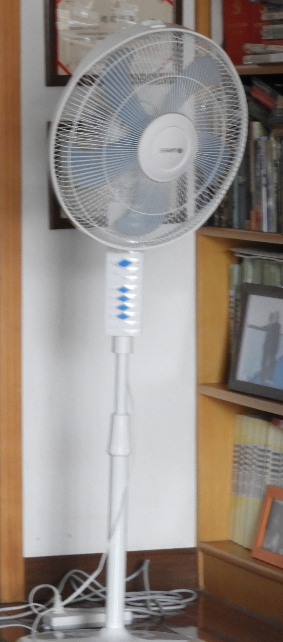DSCN7593.JPG