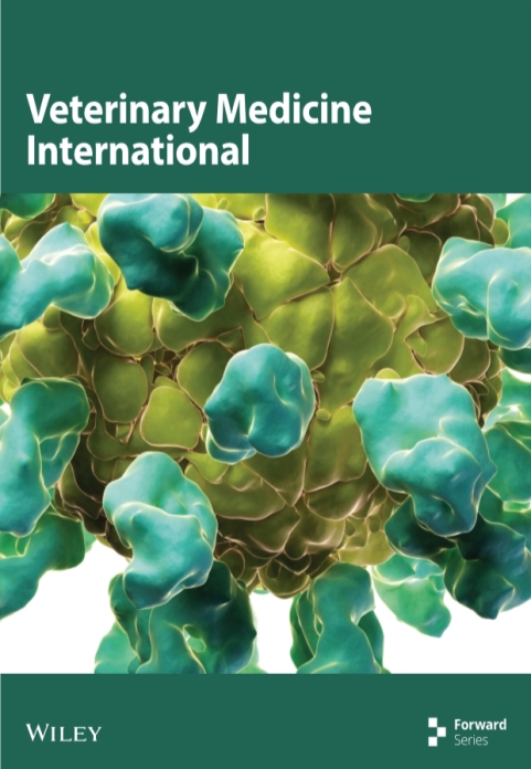 vmi.v2025.1.cover.jpg