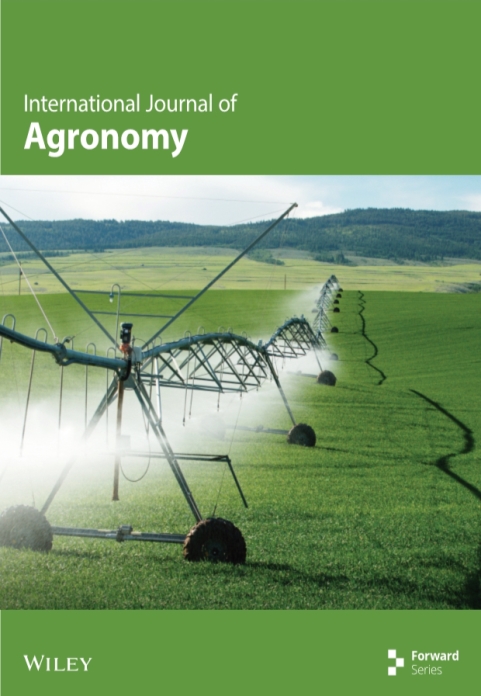 ioa.v2025.1.cover.jpg