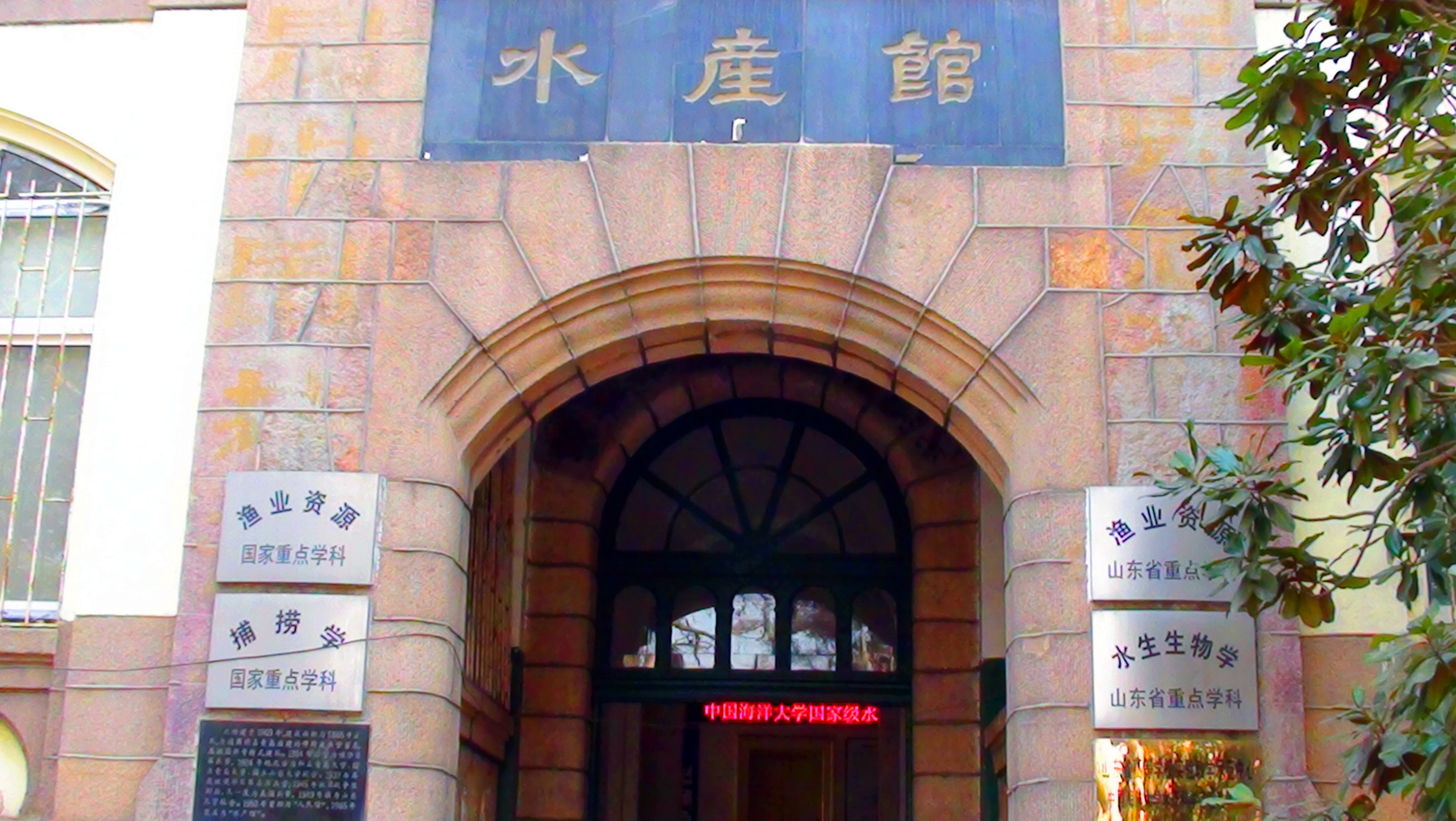 DSC03950.JPG
