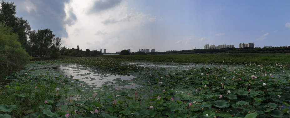 哈尔滨大剧院和文化中心湿地公园17.jpg