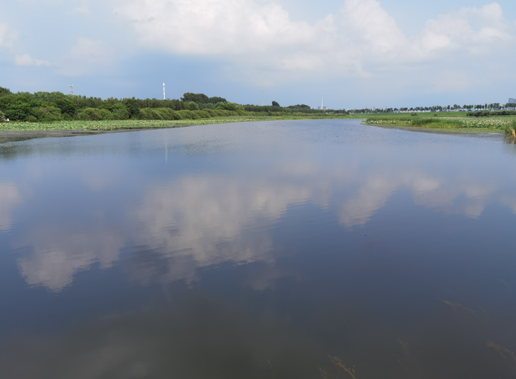 哈尔滨大剧院和文化中心湿地公园32.jpg