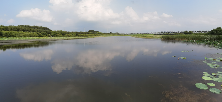 哈尔滨大剧院和文化中心湿地公园33.jpg