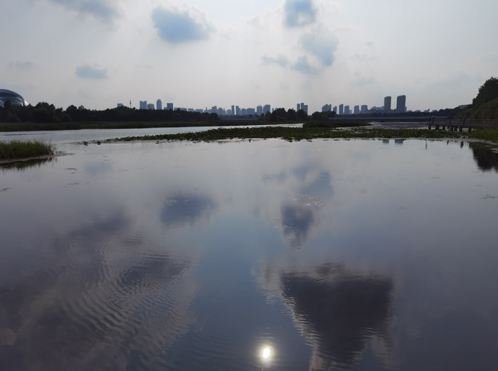 哈尔滨大剧院和文化中心湿地公园36.jpg