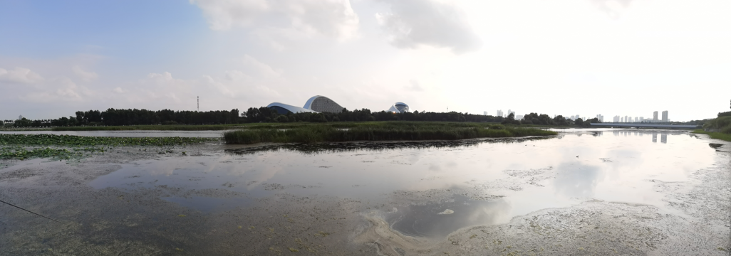 哈尔滨大剧院和文化中心湿地公园45.jpg