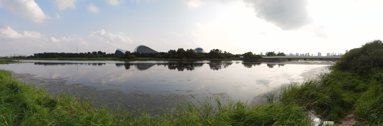 哈尔滨大剧院和文化中心湿地公园50.jpg