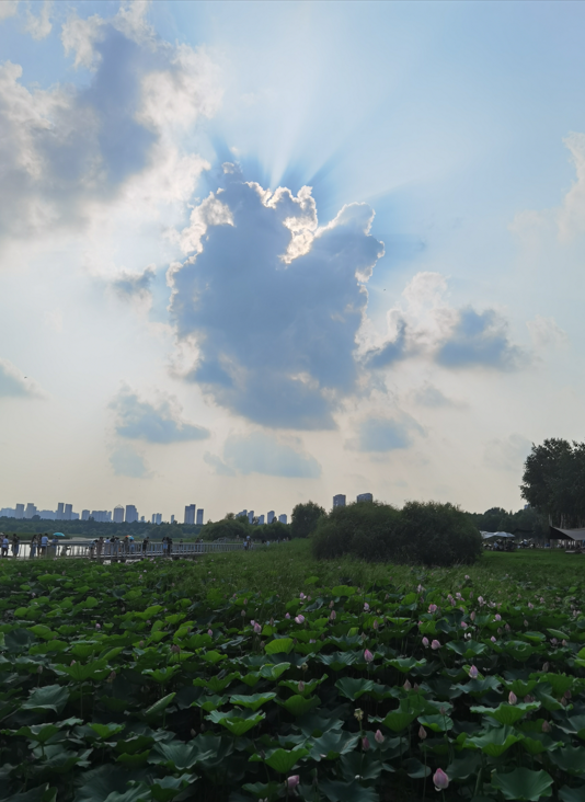 哈尔滨大剧院和文化中心湿地公园52.jpg