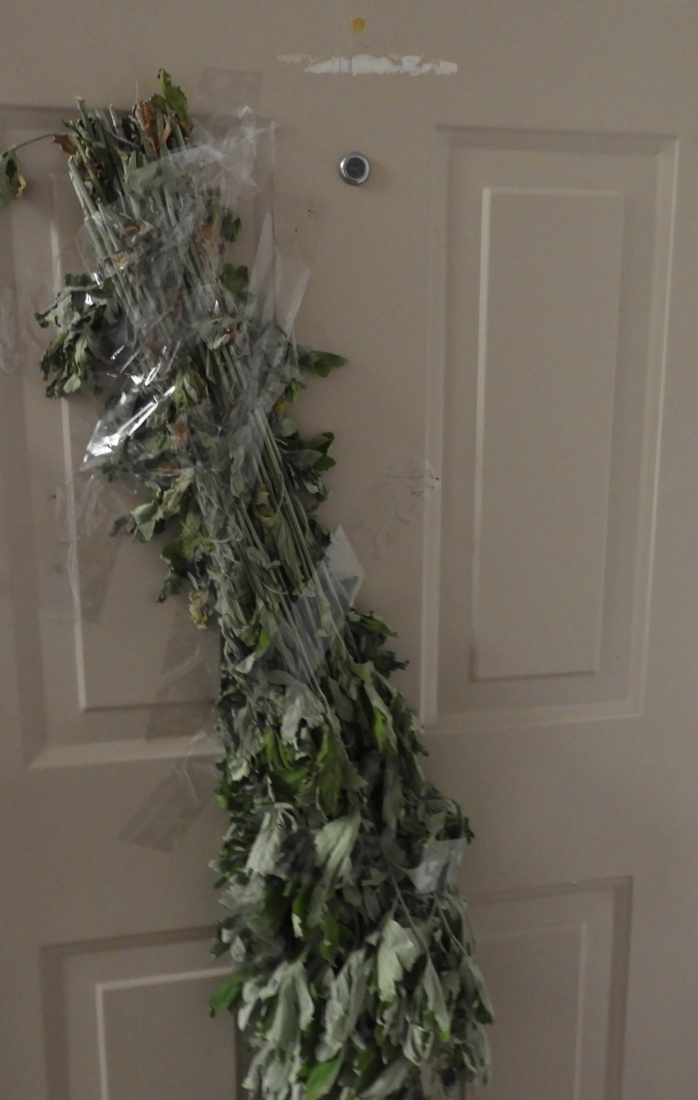 DSCN7628.JPG