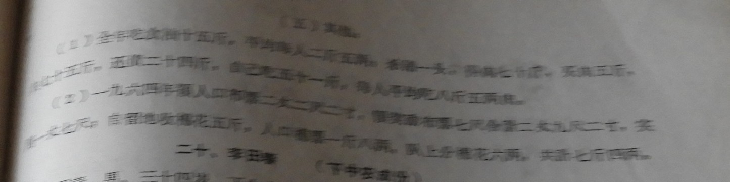 DSCN7584.JPG