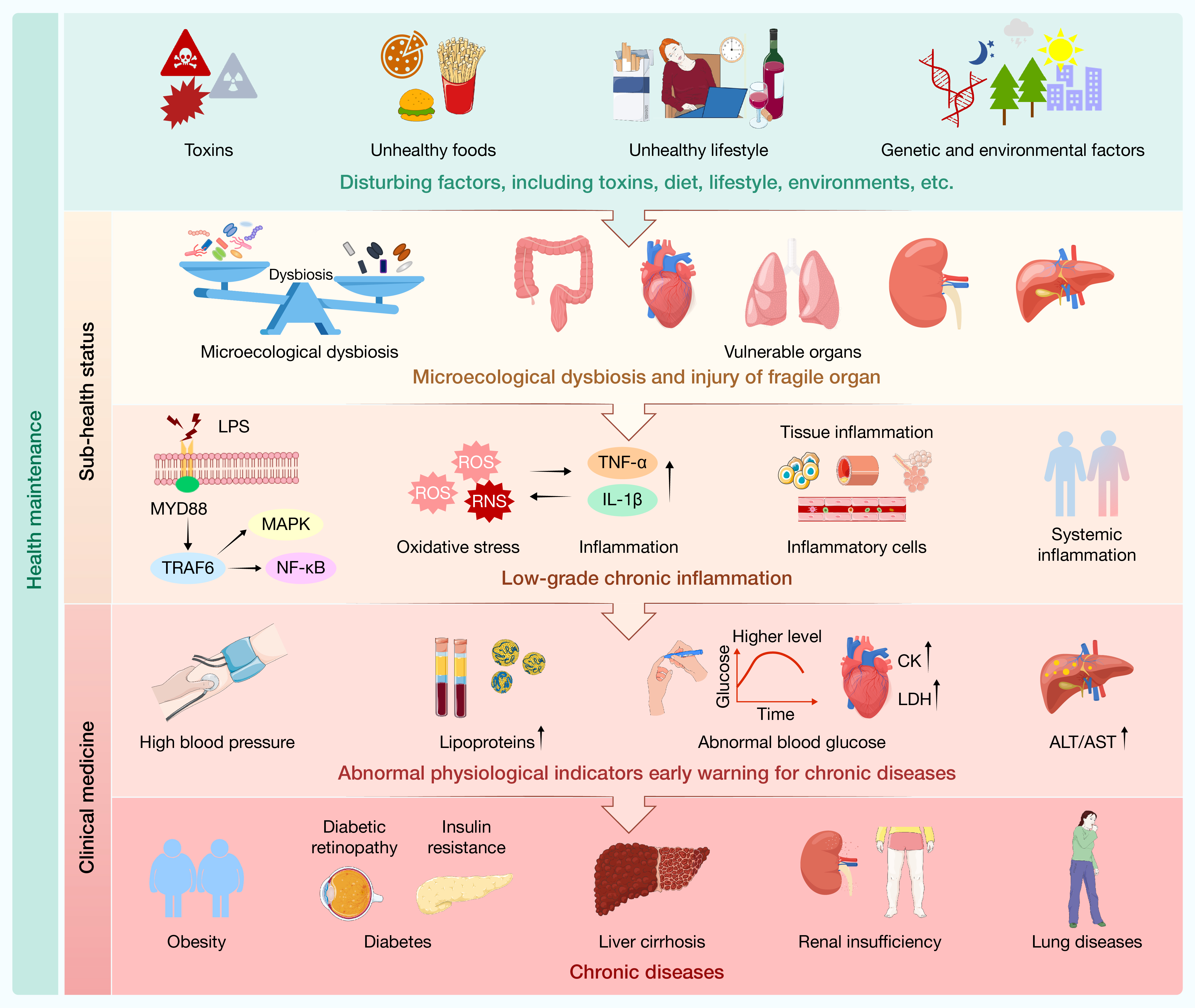 HLIFE-D-25-00038_杨瑞馥_review-0412_Fig.5(2 column).jpg