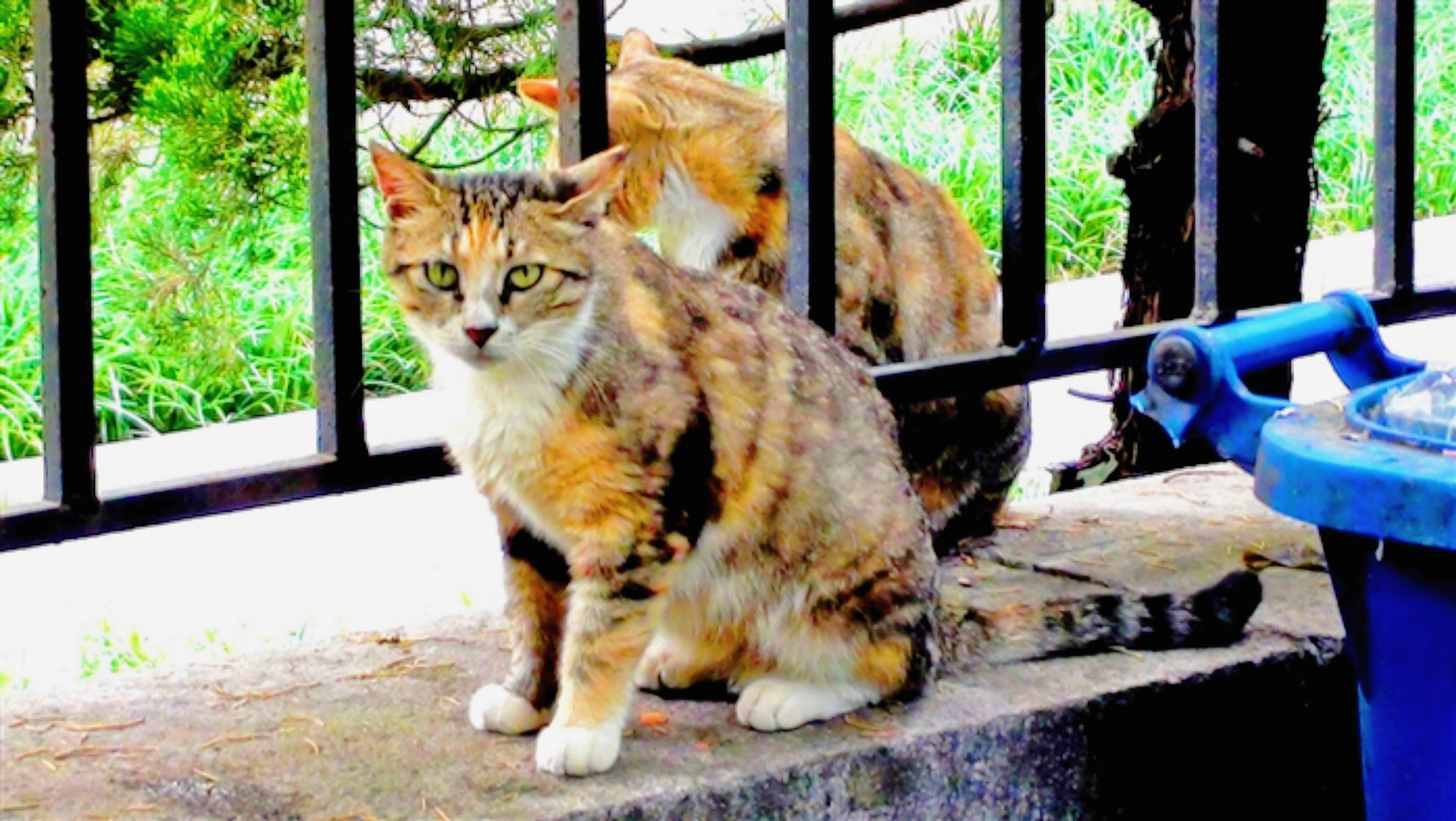 201081410108455.jpg