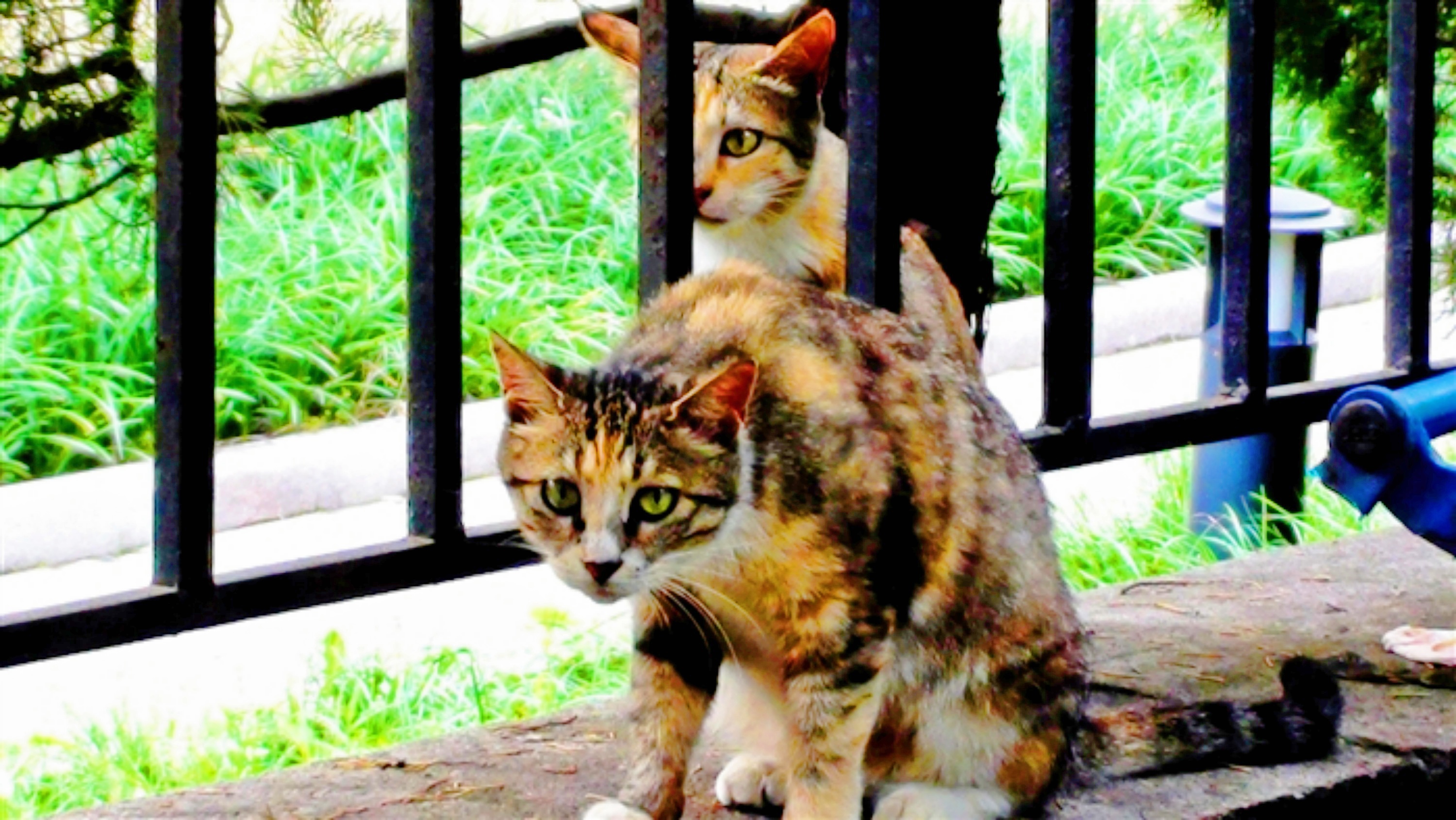 201081410946408.jpg
