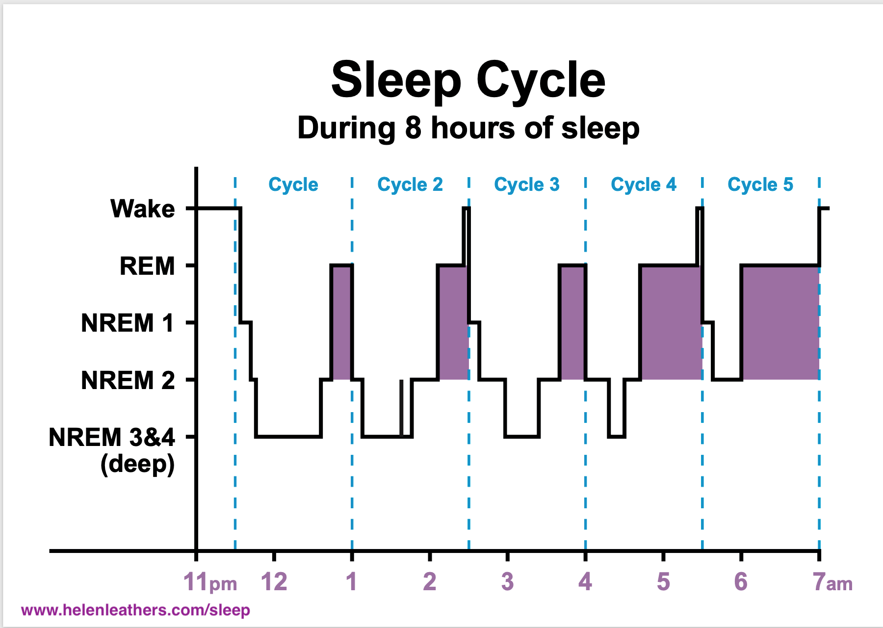 Sleep+Cycle-1920w (1).png