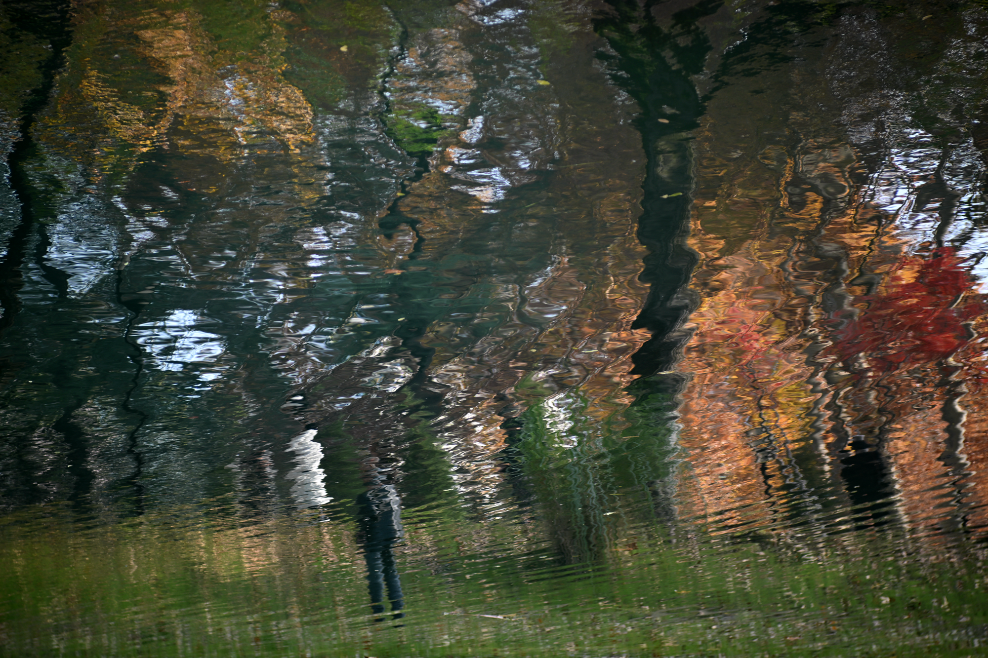 136091733384236_.pic_hd.jpg