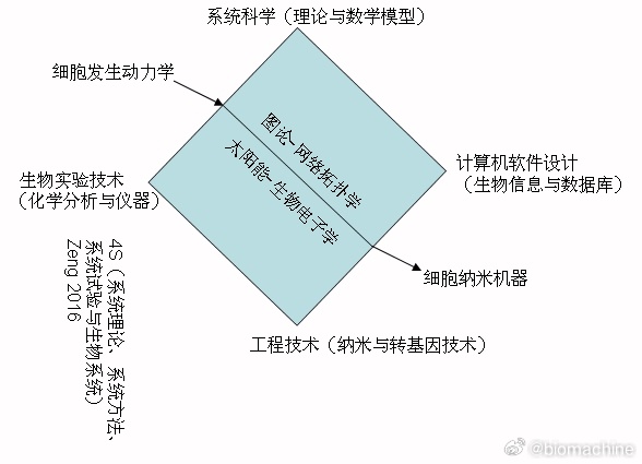 img-1749478650437642ef737695027e393d8a6951e61e1e9cb78807c9e52fc2b06eac47954ff217d.jpg