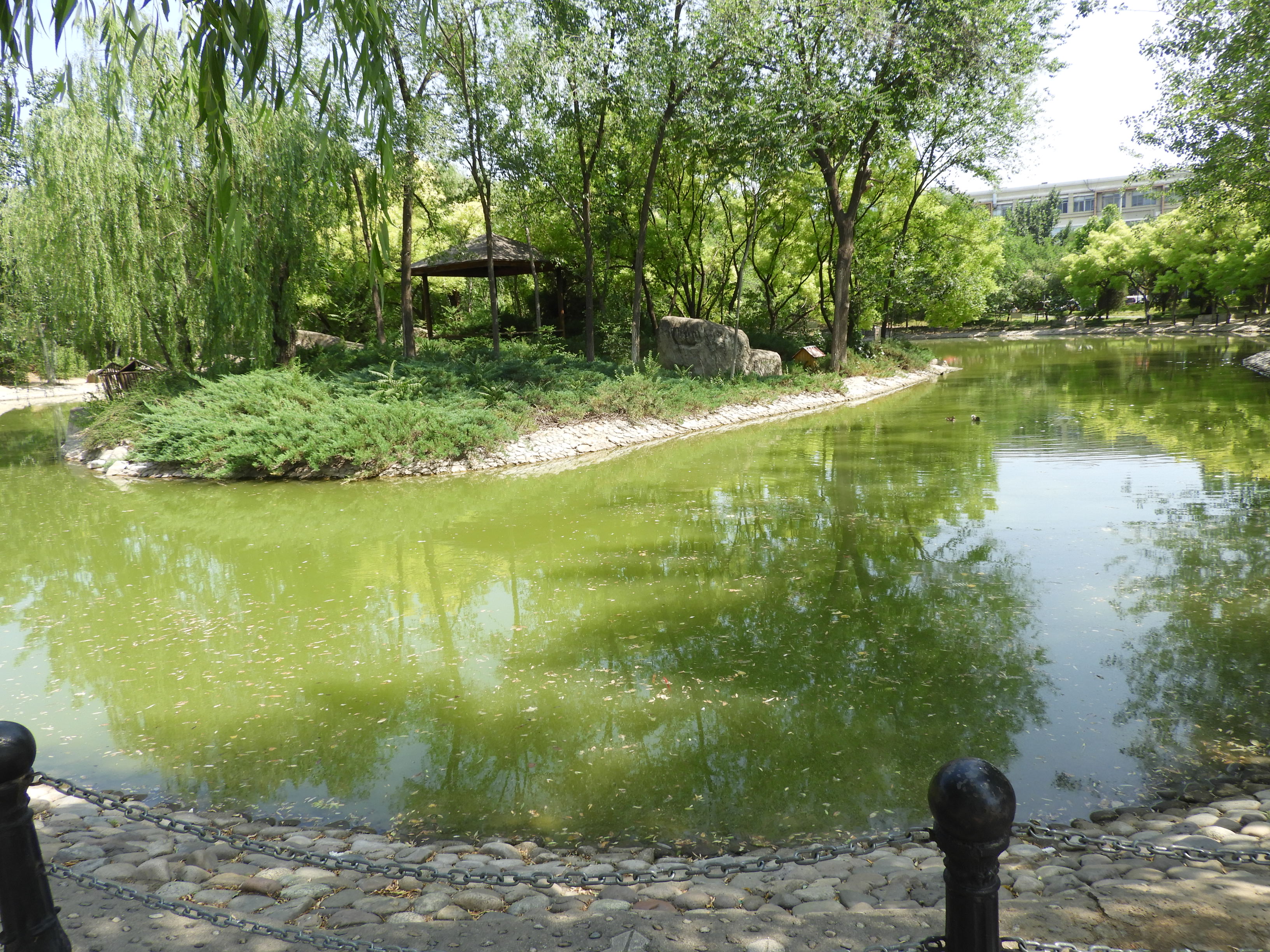DSCN8007.JPG
