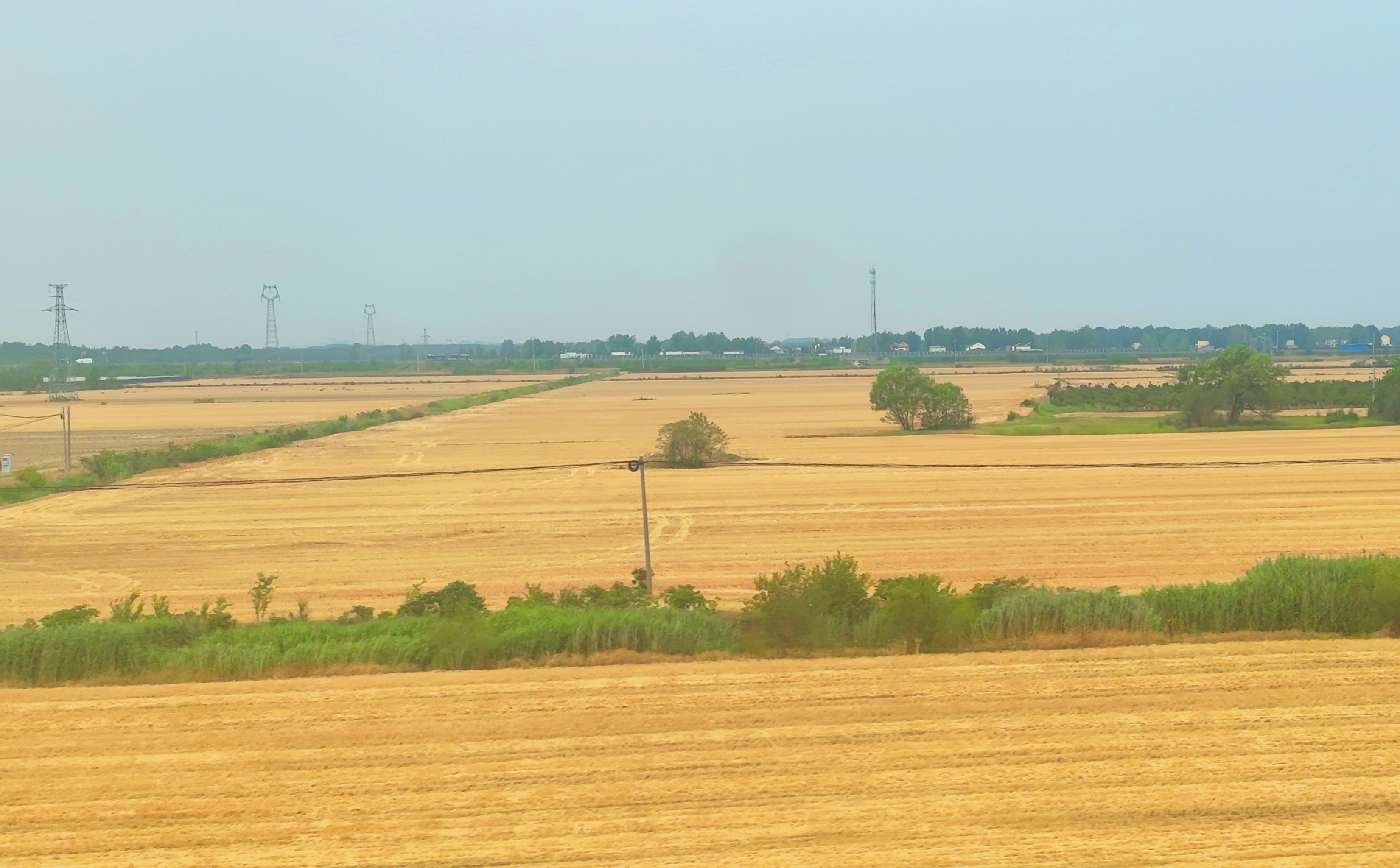 IMG_20250610_100128.jpg