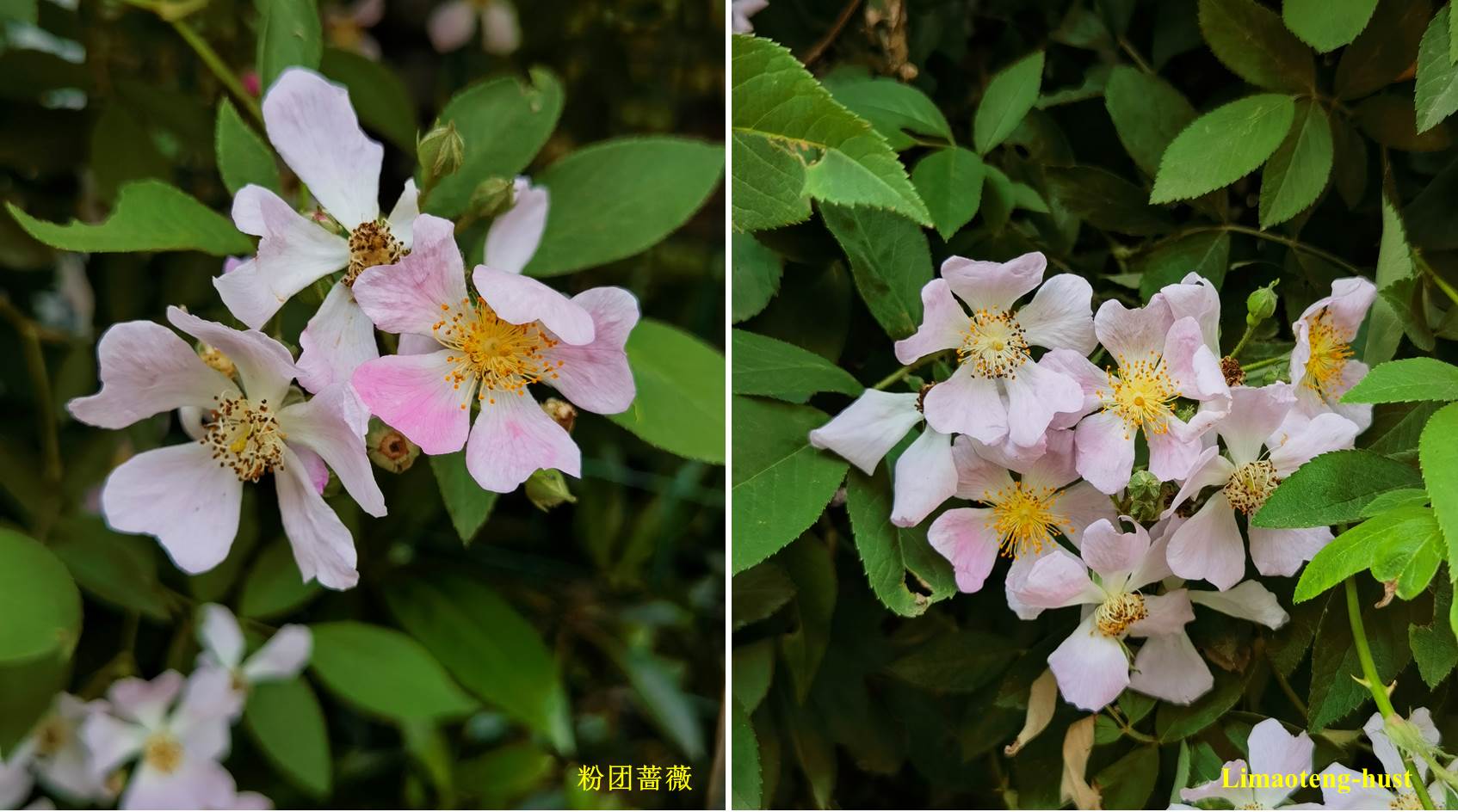 Ǿޱ.jpg