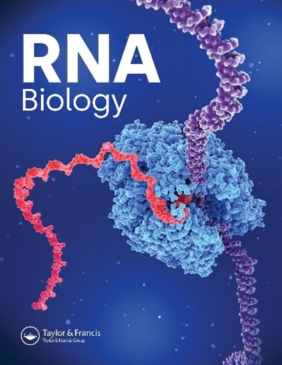 Cover4.jpg