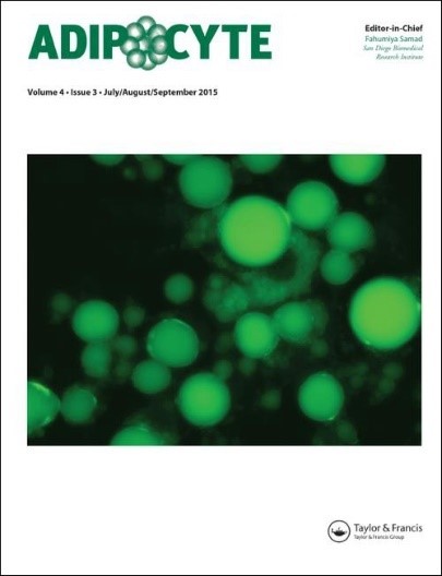 Cover5.jpg