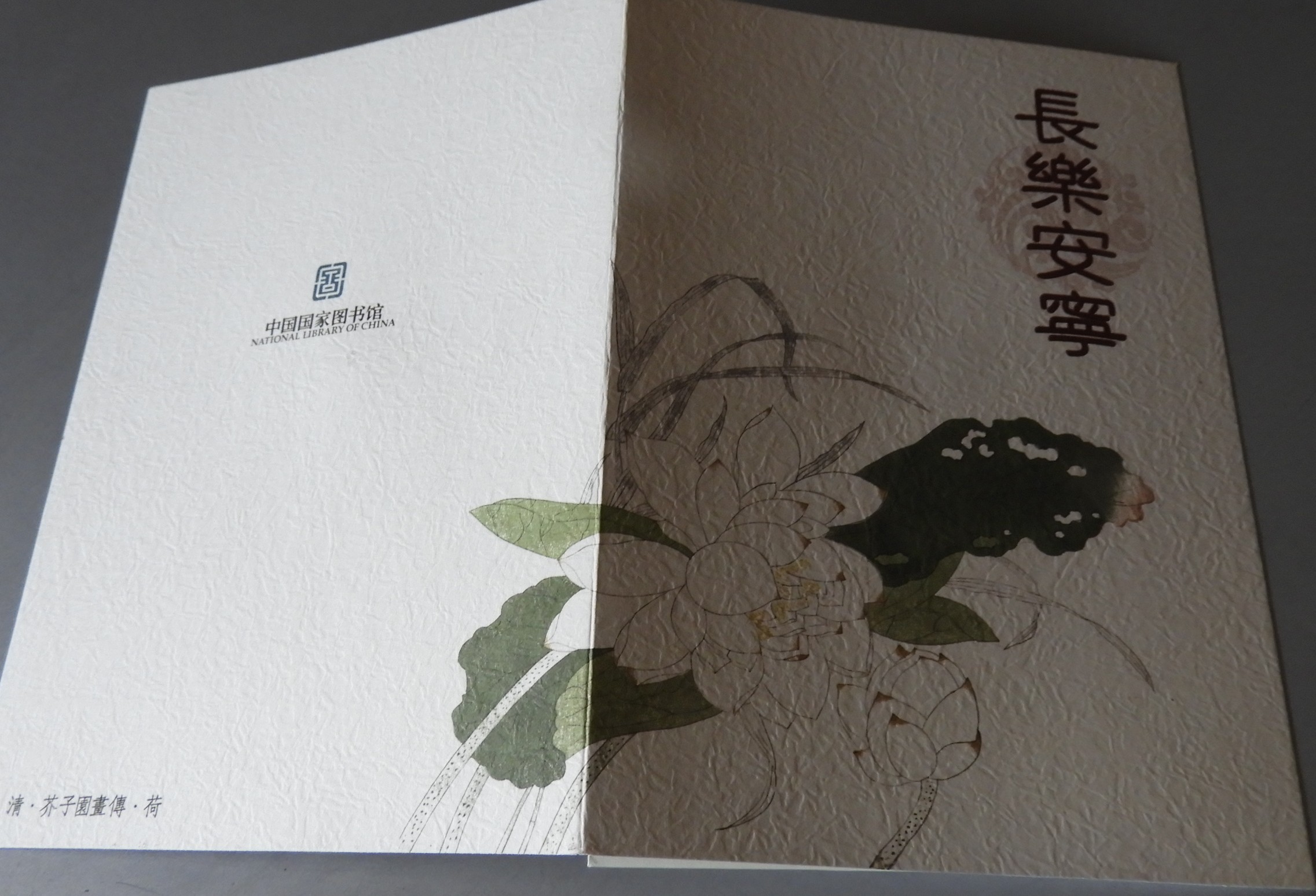DSCN8227.JPG