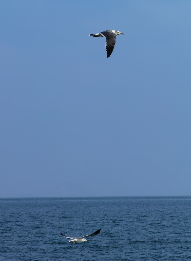 颵Ÿ14.jpg