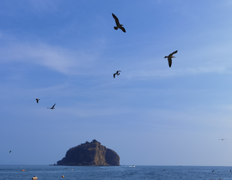 颵Ÿ44.jpg