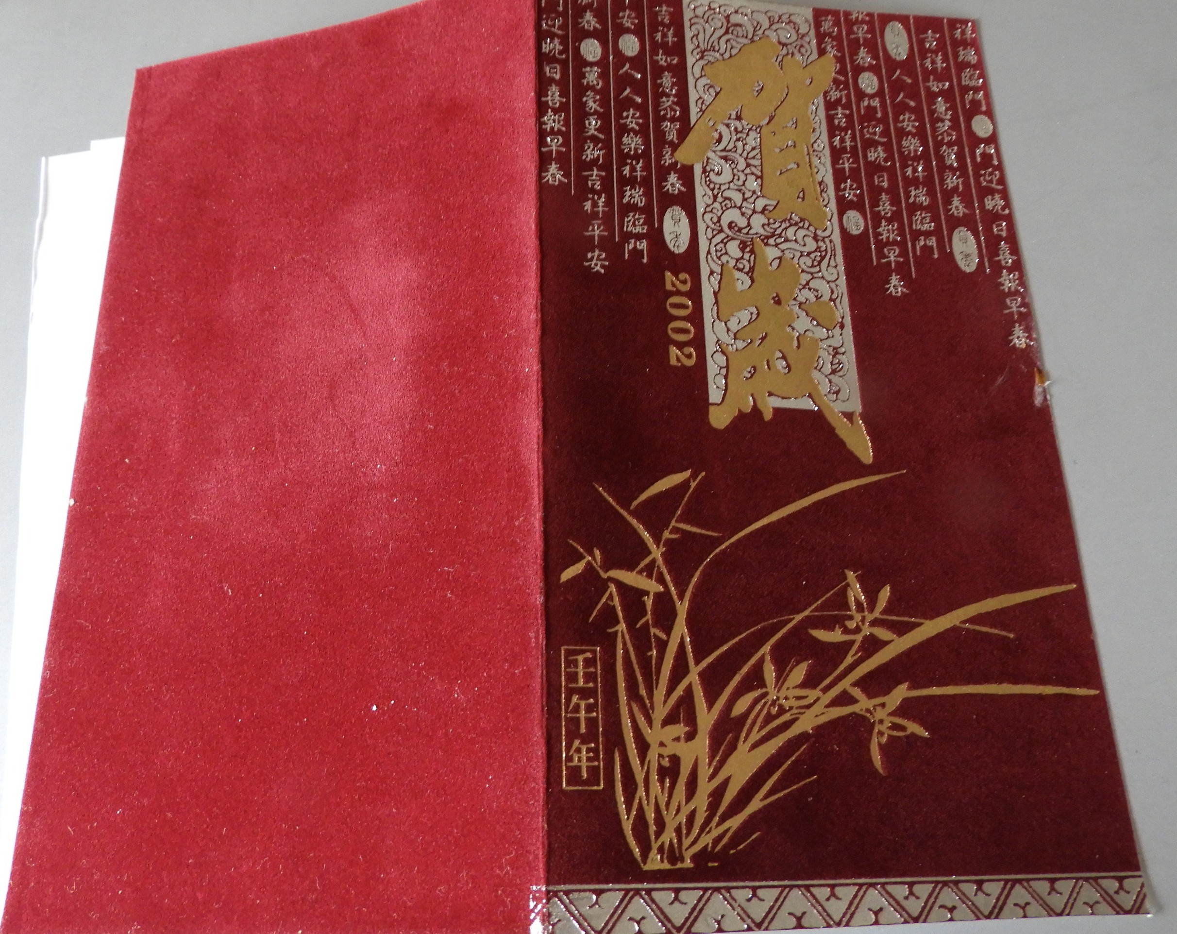 DSCN8208.JPG