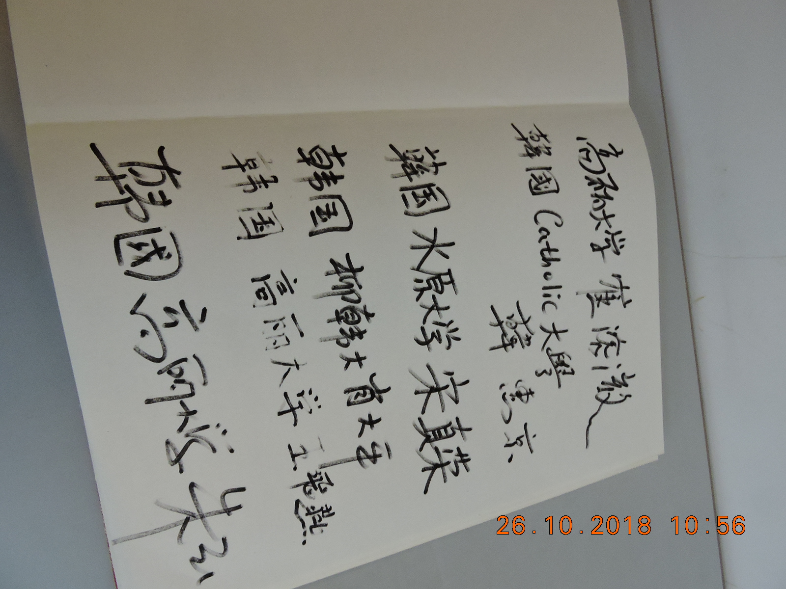 13 DSCN7699.JPG