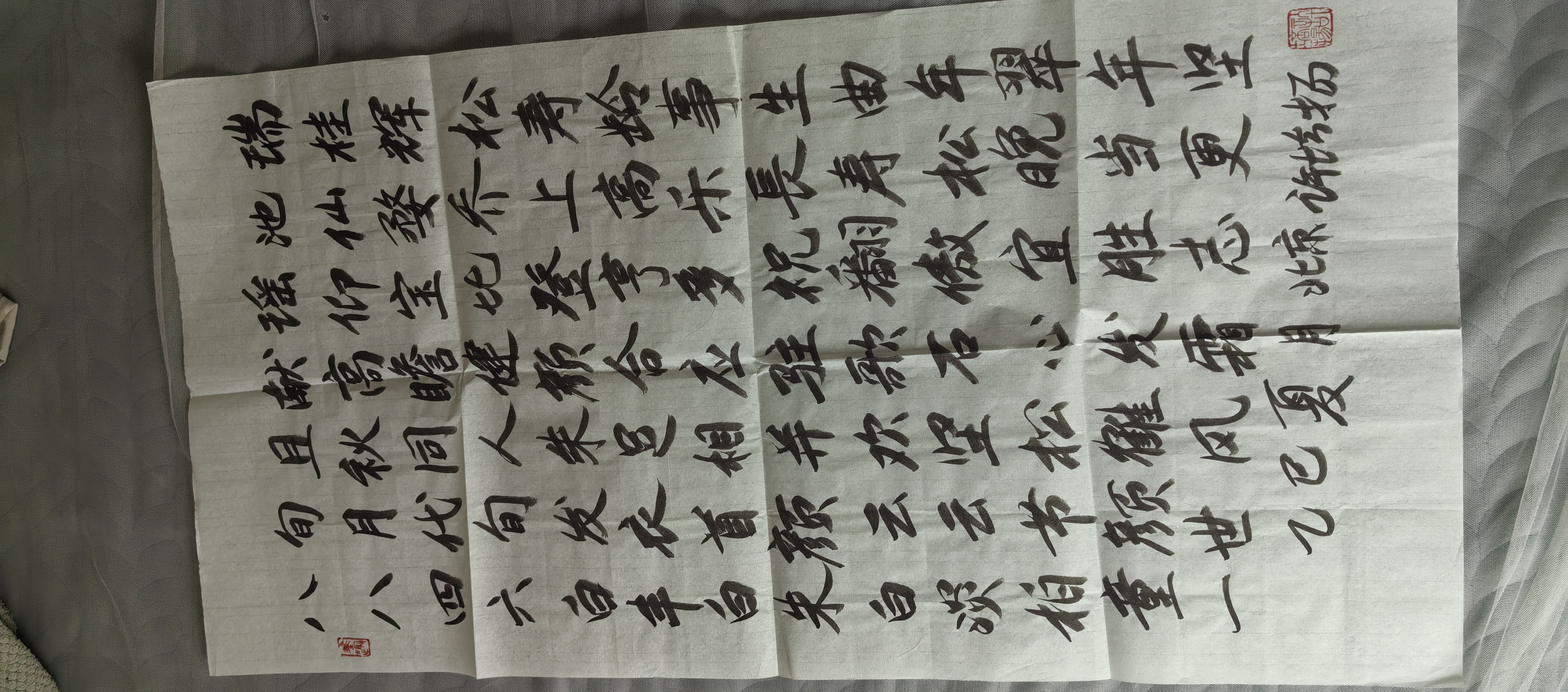 鷨4.jpg