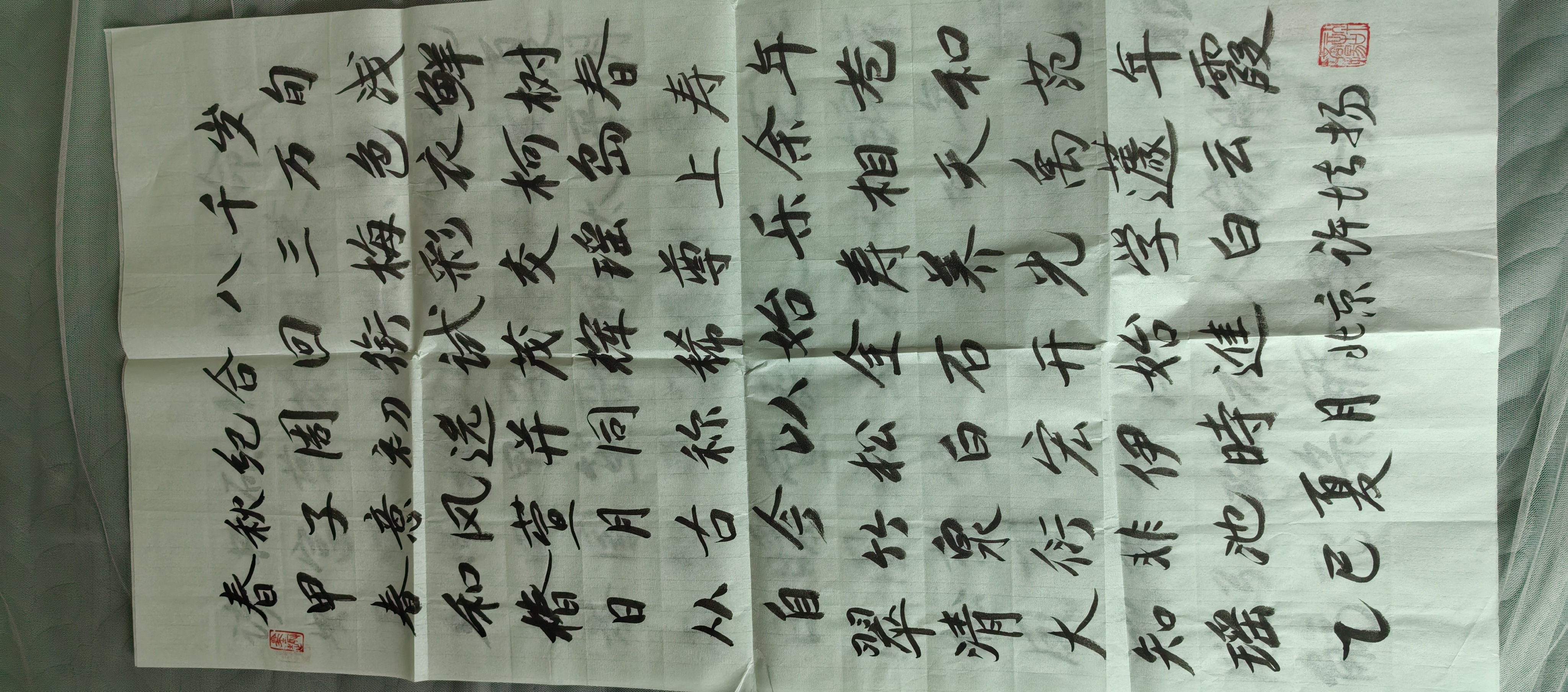 鷨6.jpg