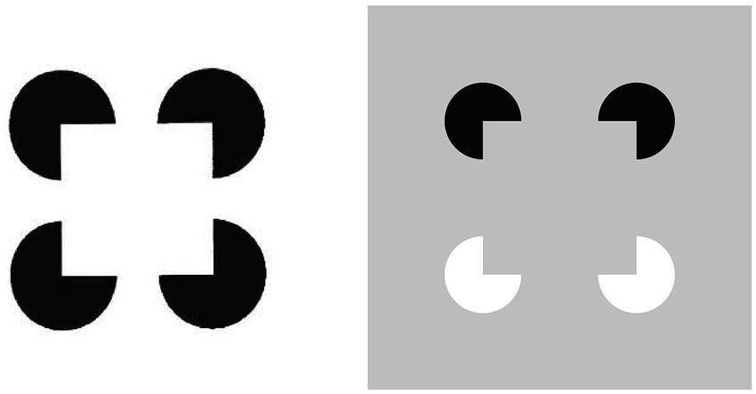 Kanizsa-square-left-panel-and-reverse-contrast-Kanizsa-square-right-panel-The.png
